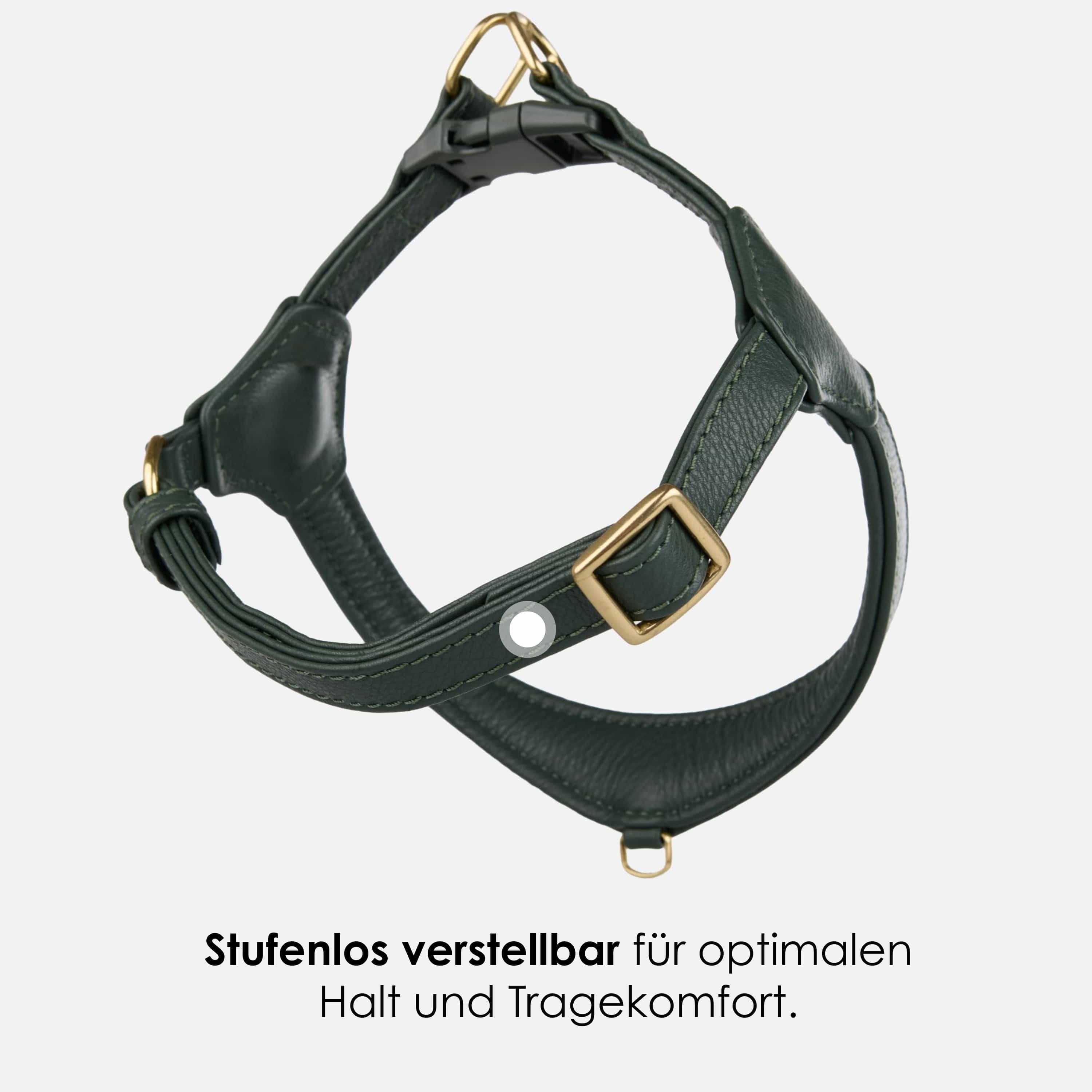 Step-In Leren Hondentuig Pico voor Kleine Honden - Image 14