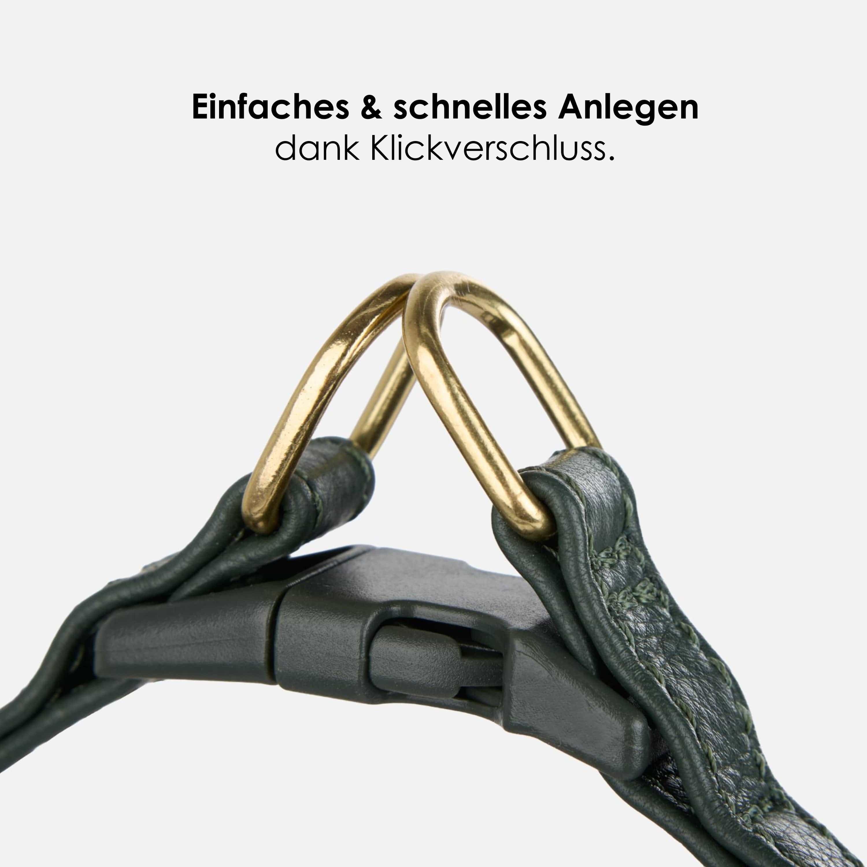 Step-In Leren Hondentuig Pico voor Kleine Honden - Image 17