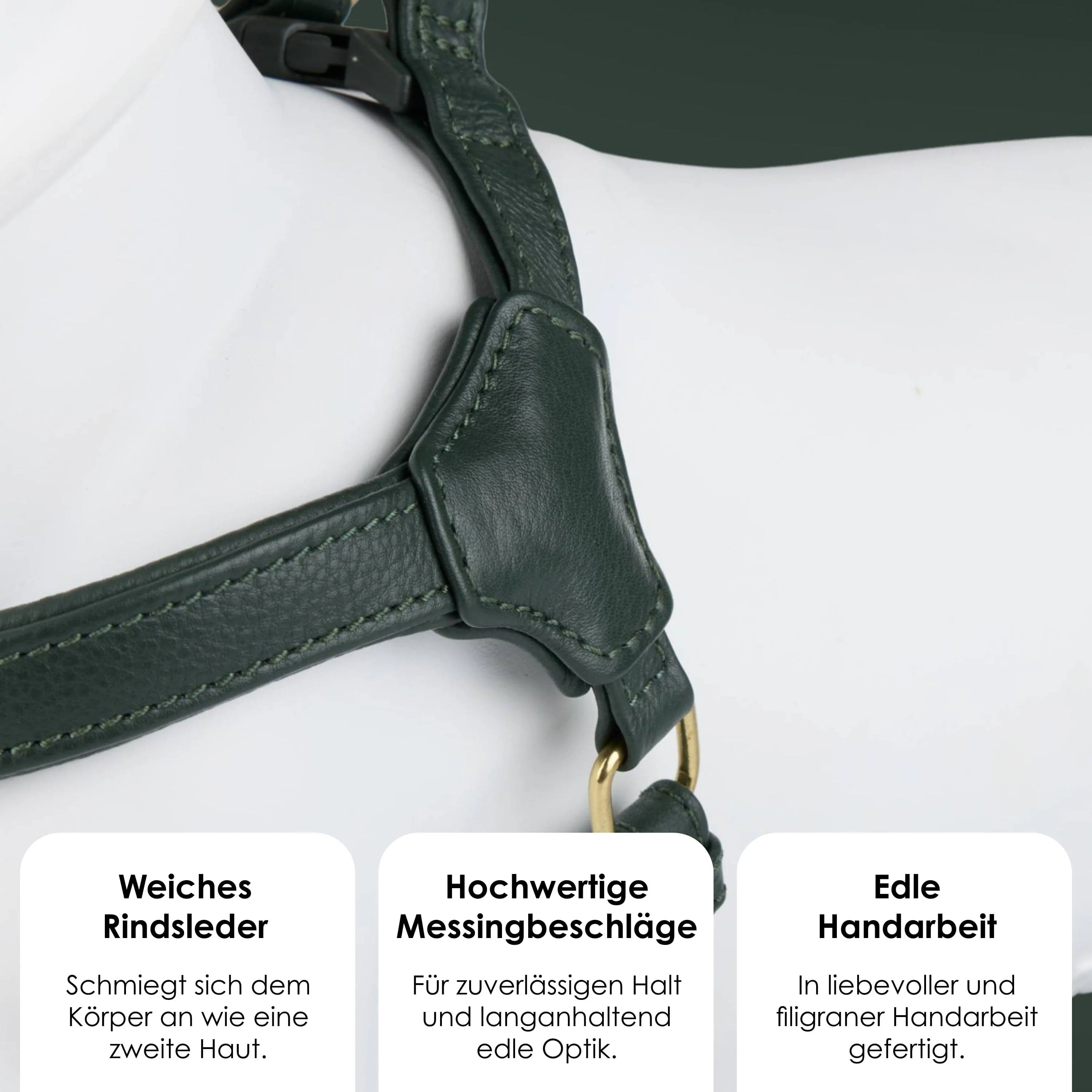 Step-In Leren Hondentuig Pico voor Kleine Honden - Image 18