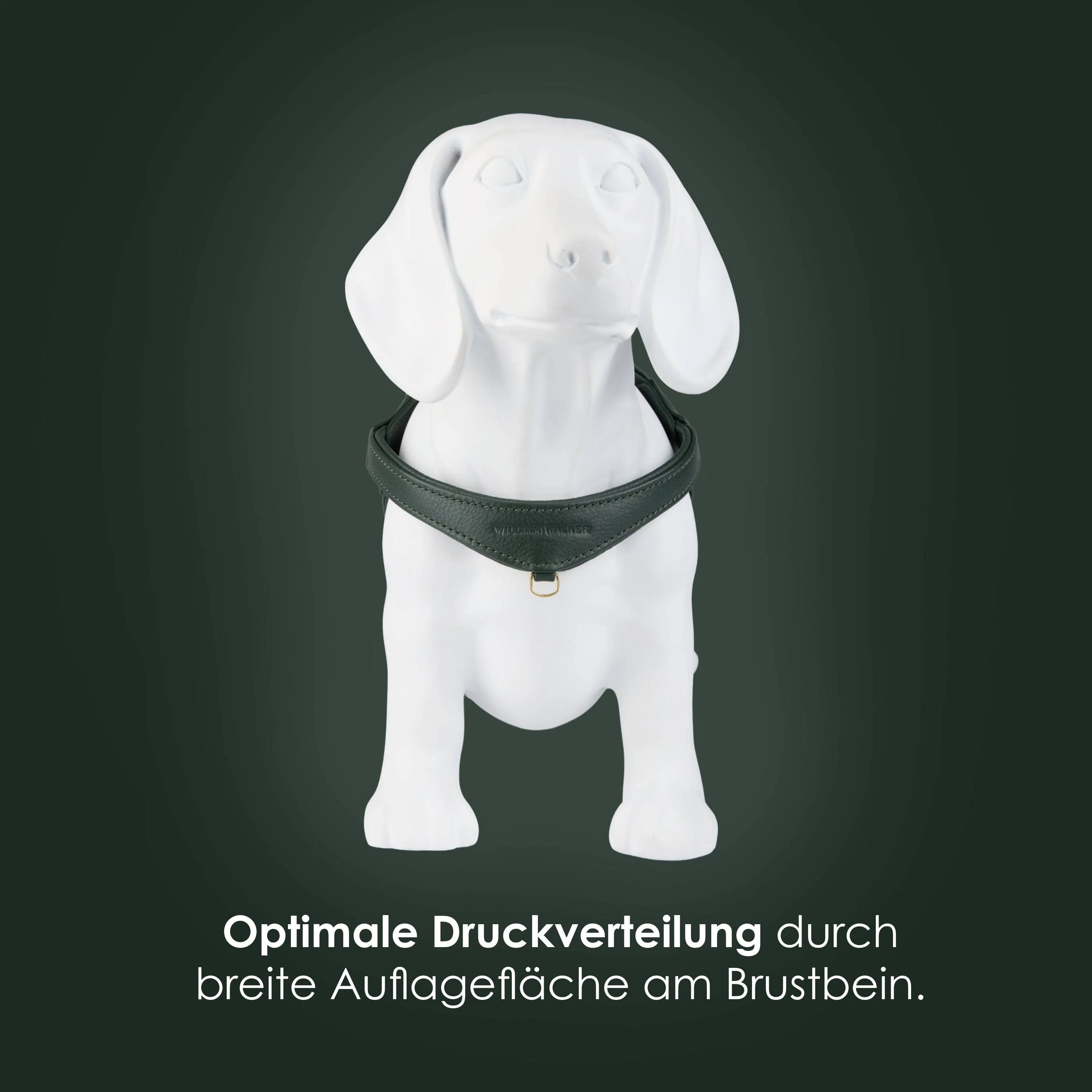 Step-In Leren Hondentuig Pico voor Kleine Honden - Image 19