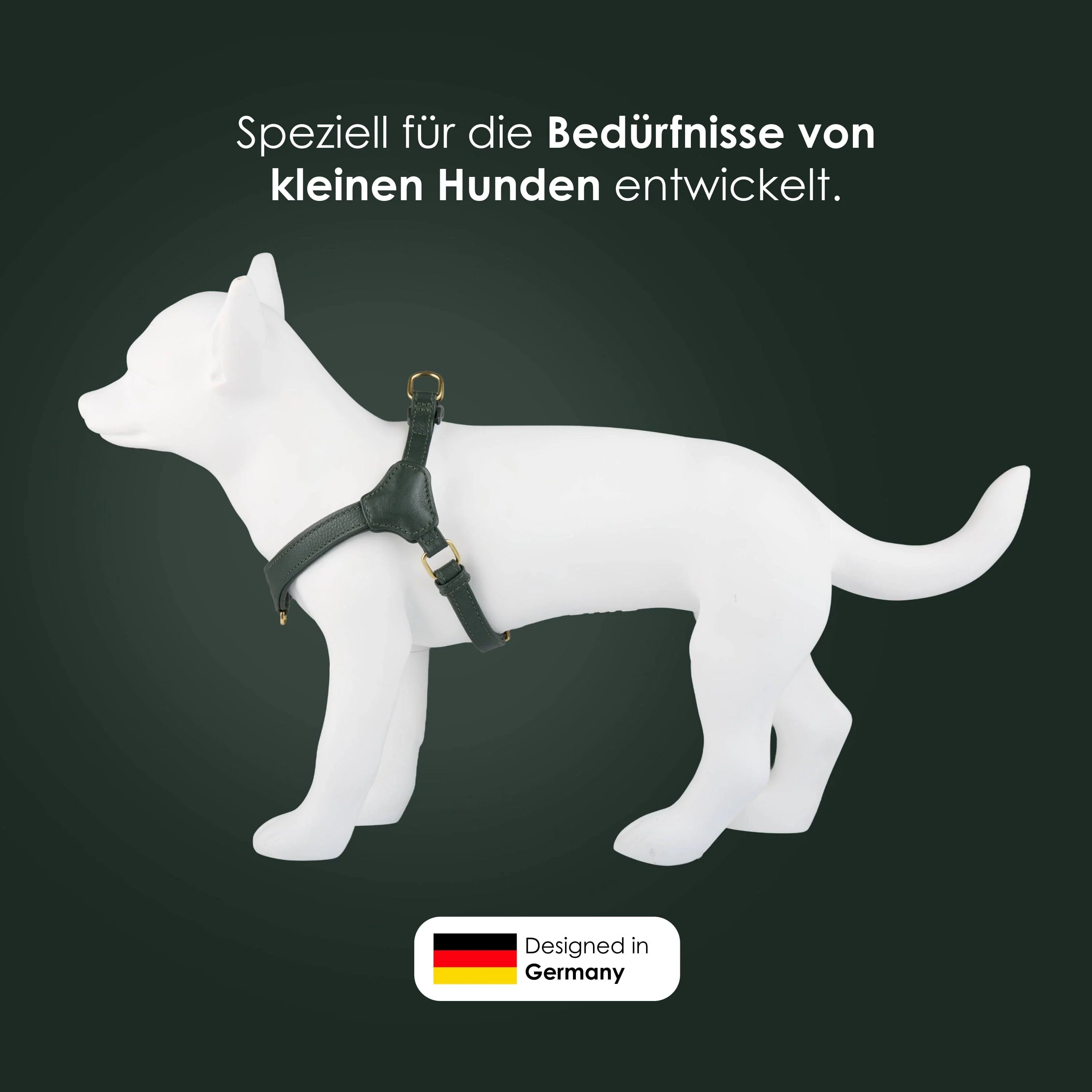 Step-In Leren Hondentuig Pico voor Kleine Honden - Image 20