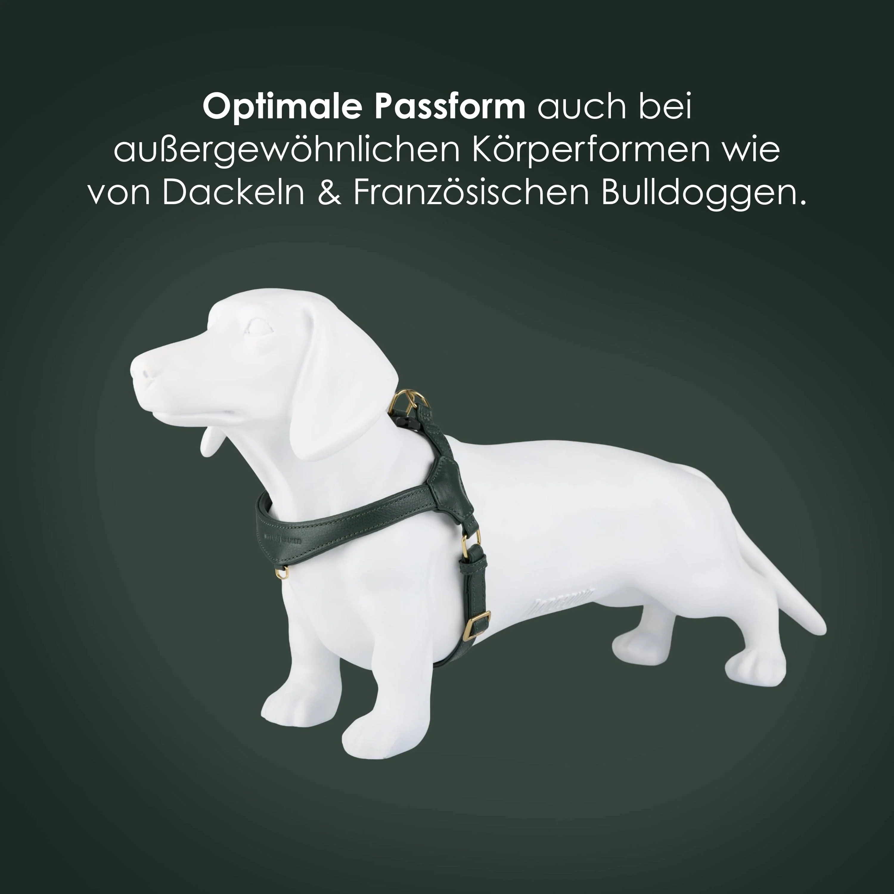 Step-In Leren Hondentuig Pico voor Kleine Honden - Image 21