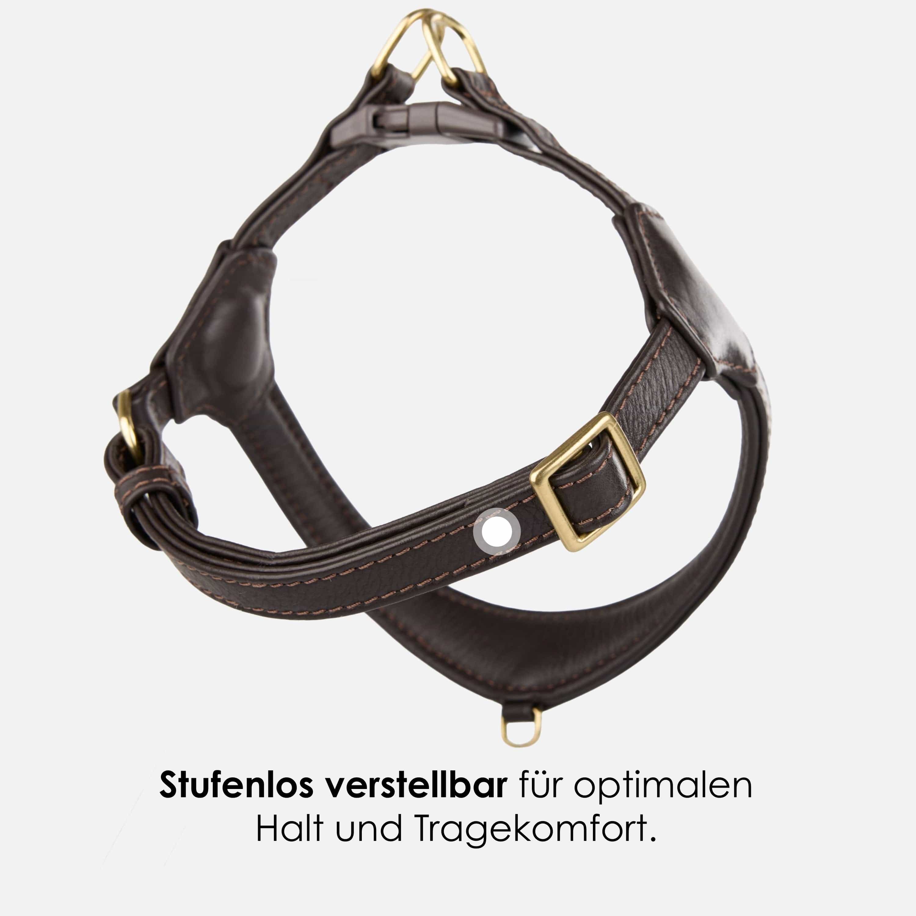 Step-In Leren Hondentuig Pico voor Kleine Honden - Image 26