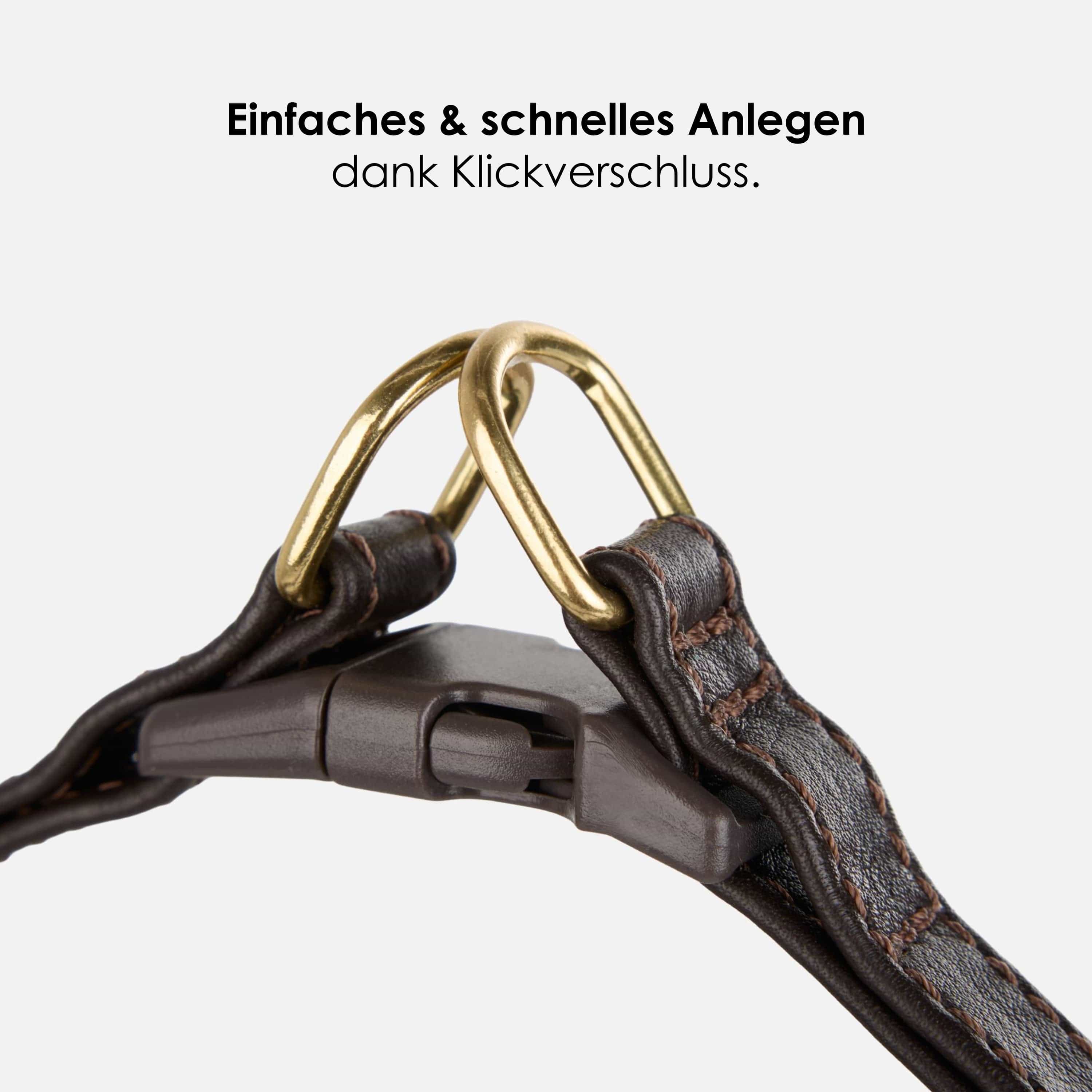 Step-In Leren Hondentuig Pico voor Kleine Honden - Image 29