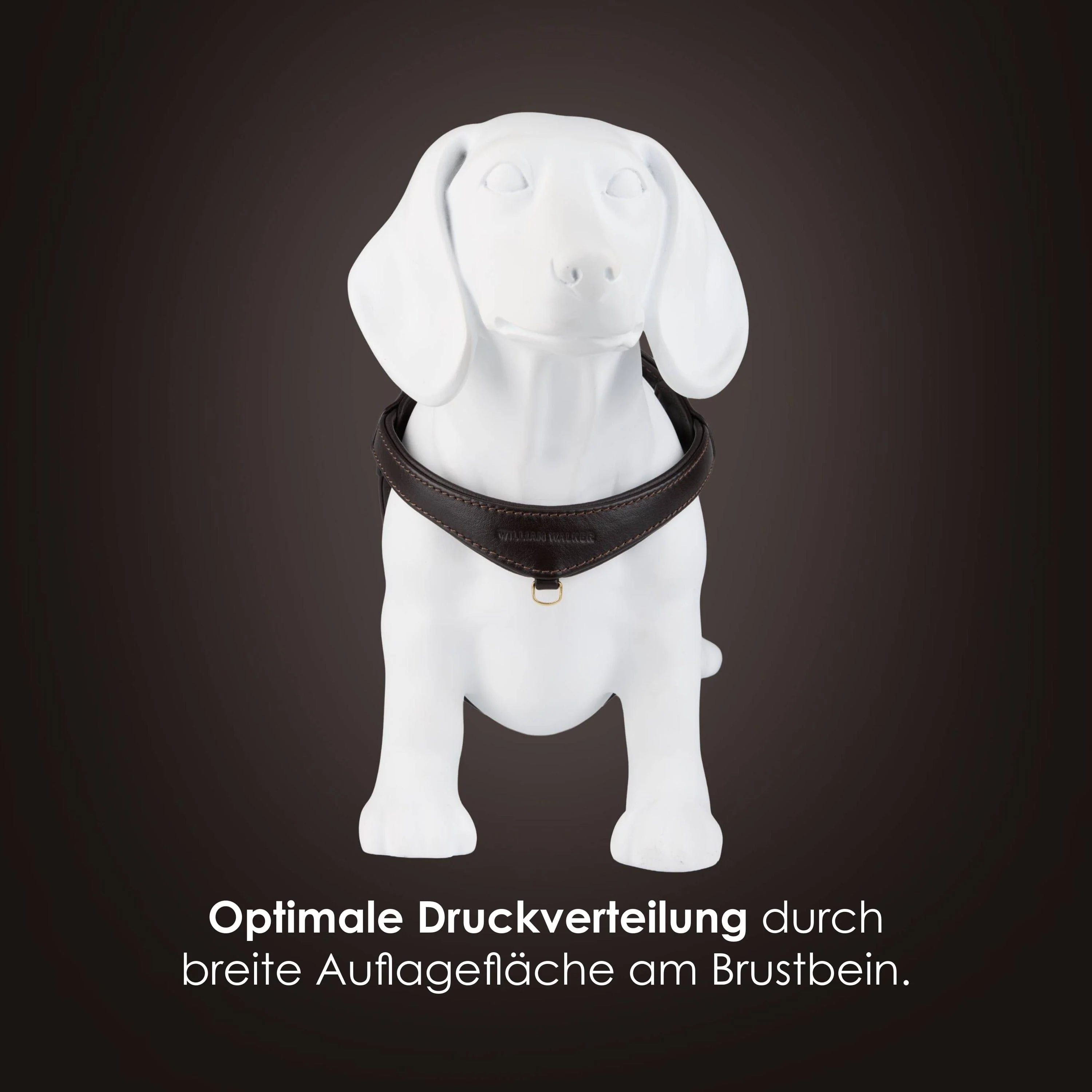 Step-In Leren Hondentuig Pico voor Kleine Honden - Image 31