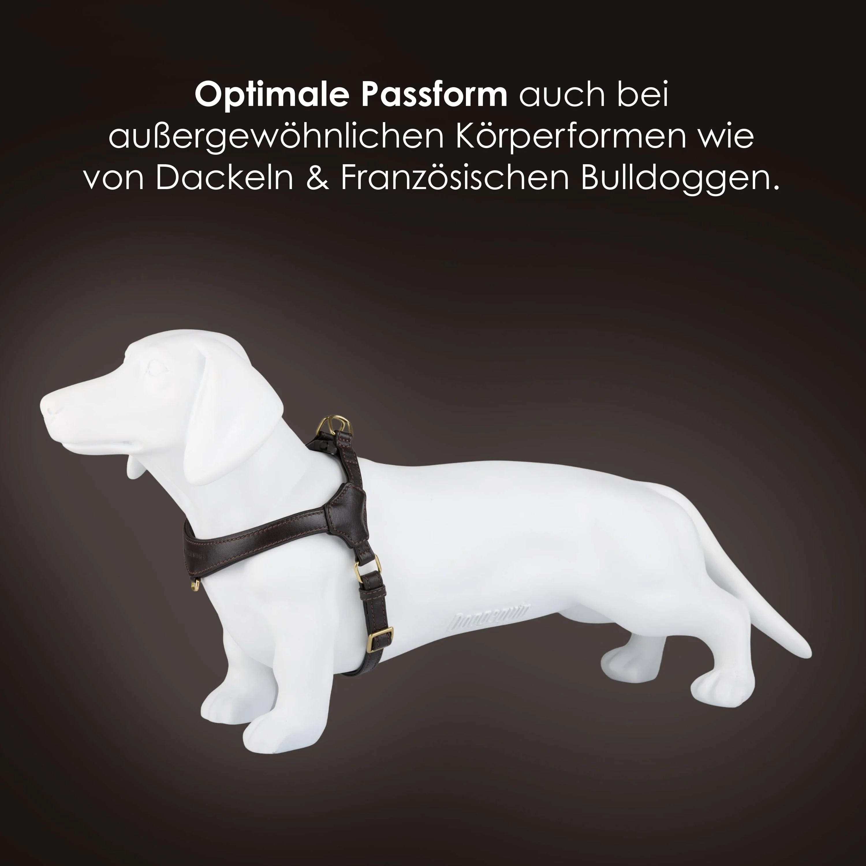 Step-In Leren Hondentuig Pico voor Kleine Honden - Image 33