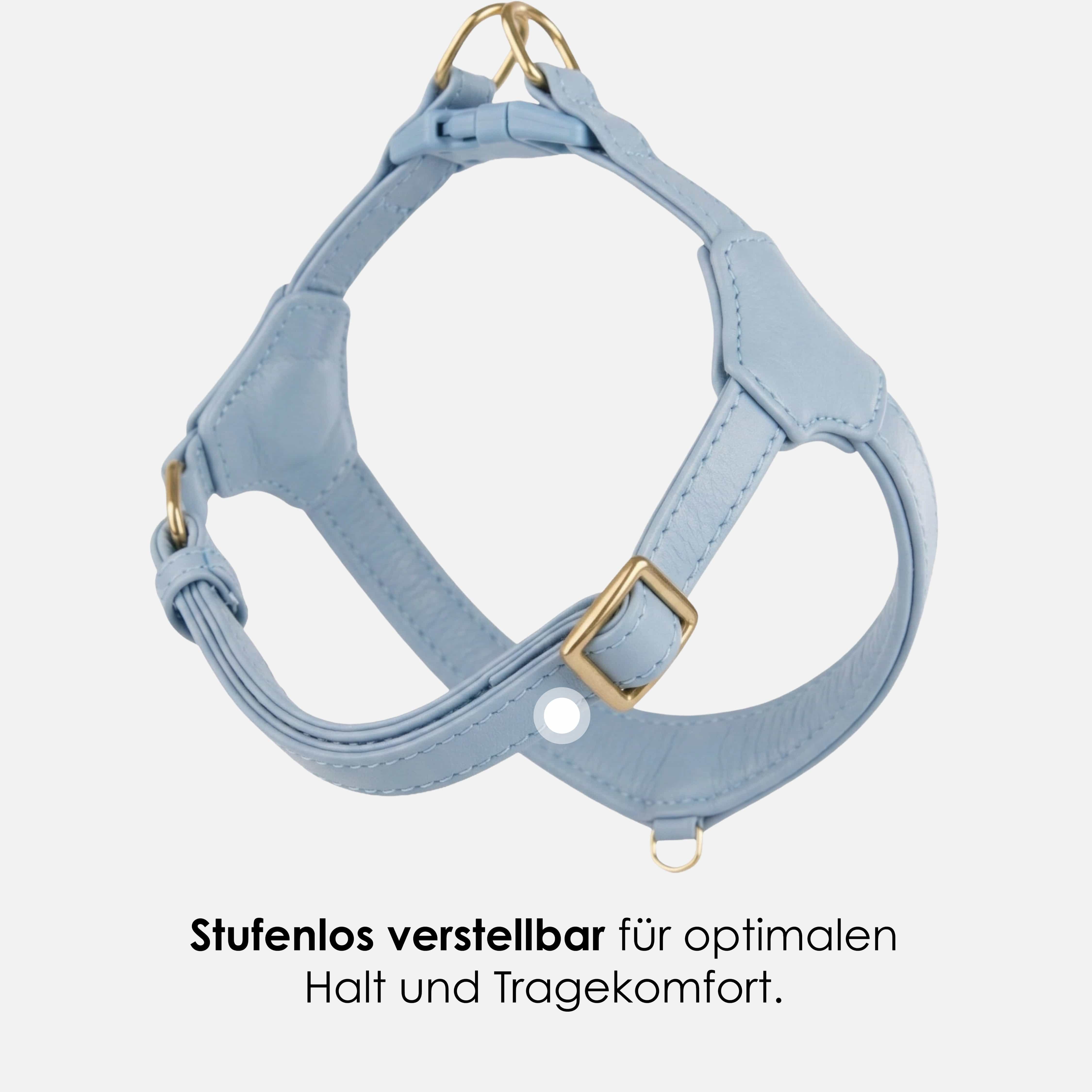 Step-In Leren Hondentuig Pico voor Kleine Honden - Image 36