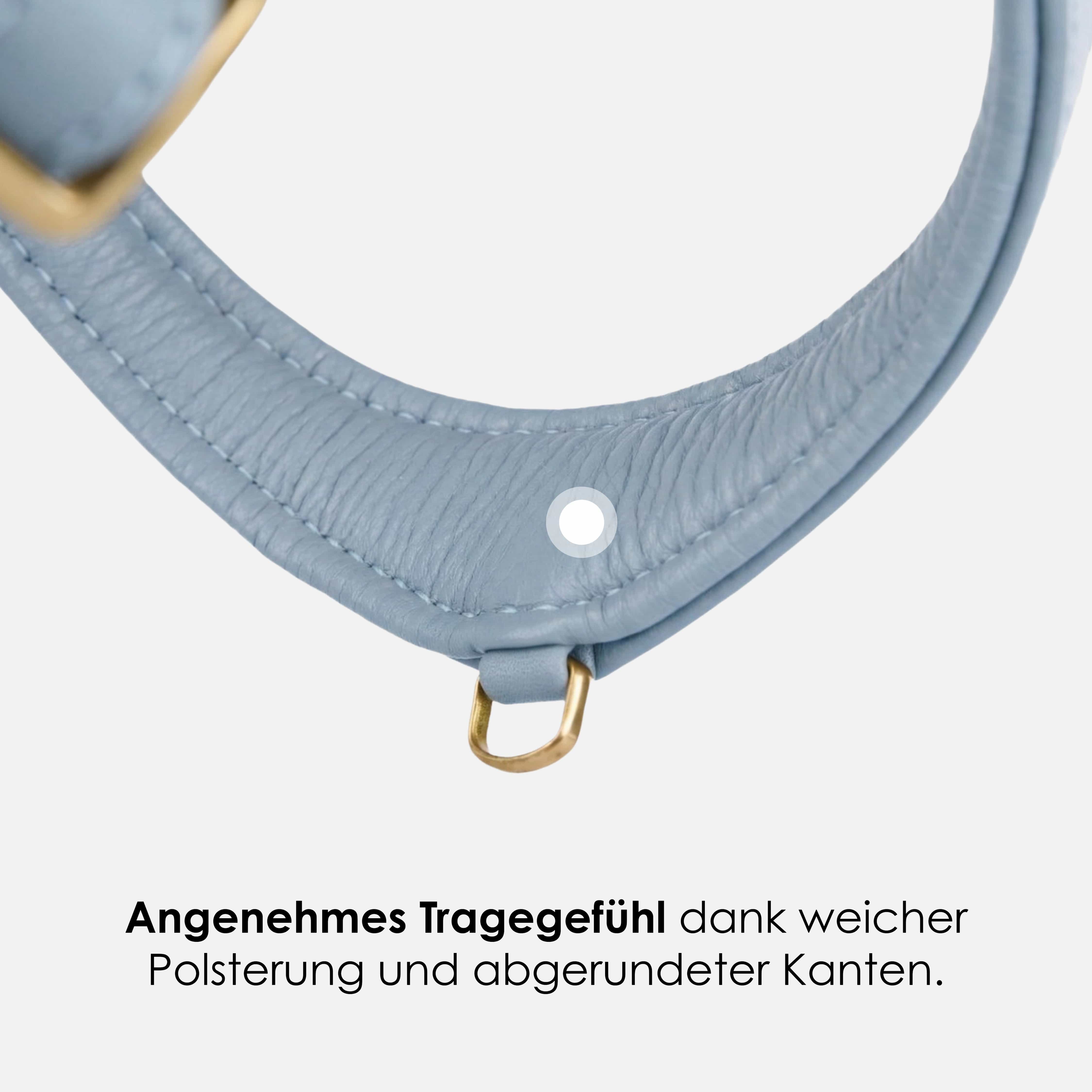 Step-In Leren Hondentuig Pico voor Kleine Honden - Image 38