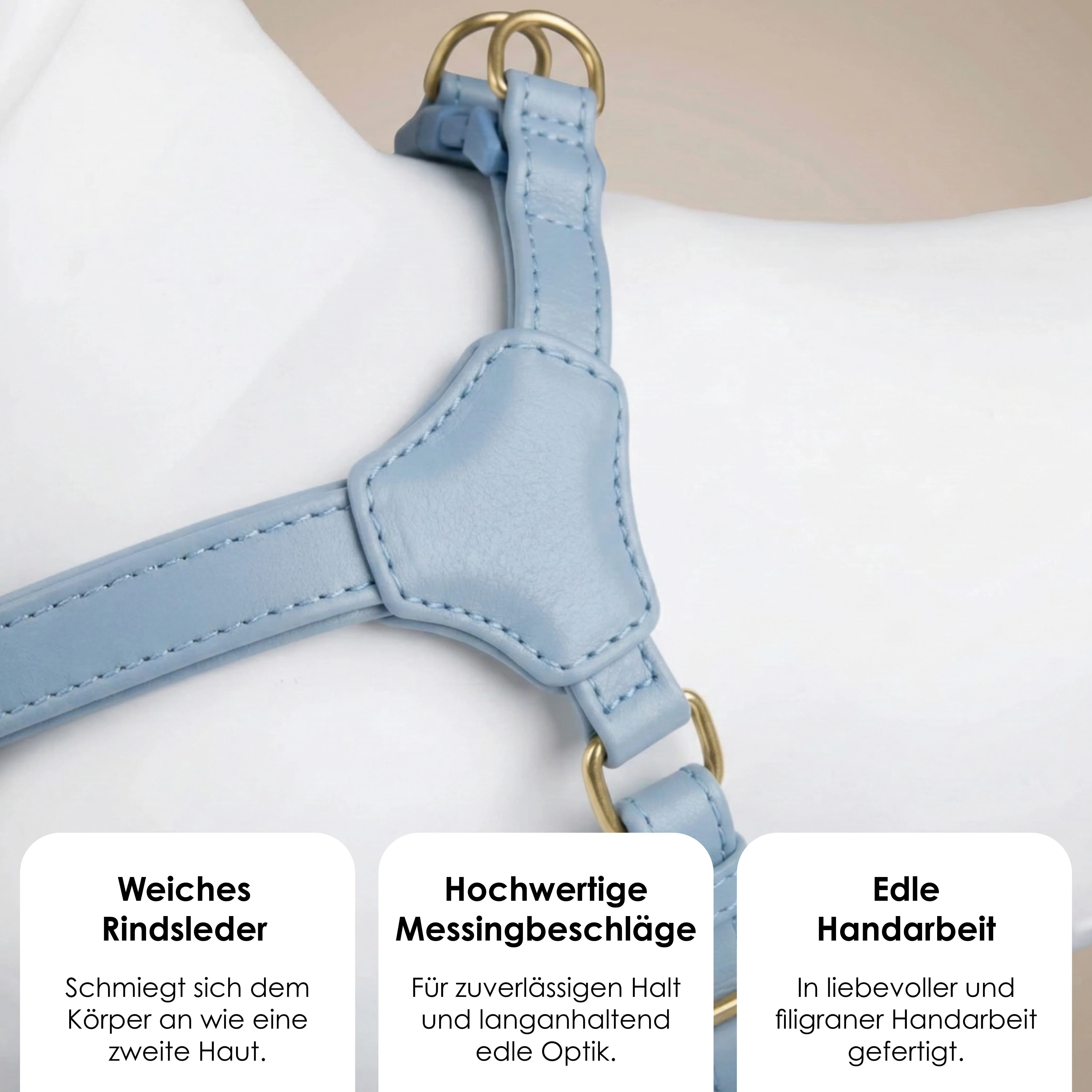 Step-In Leren Hondentuig Pico voor Kleine Honden - Image 39