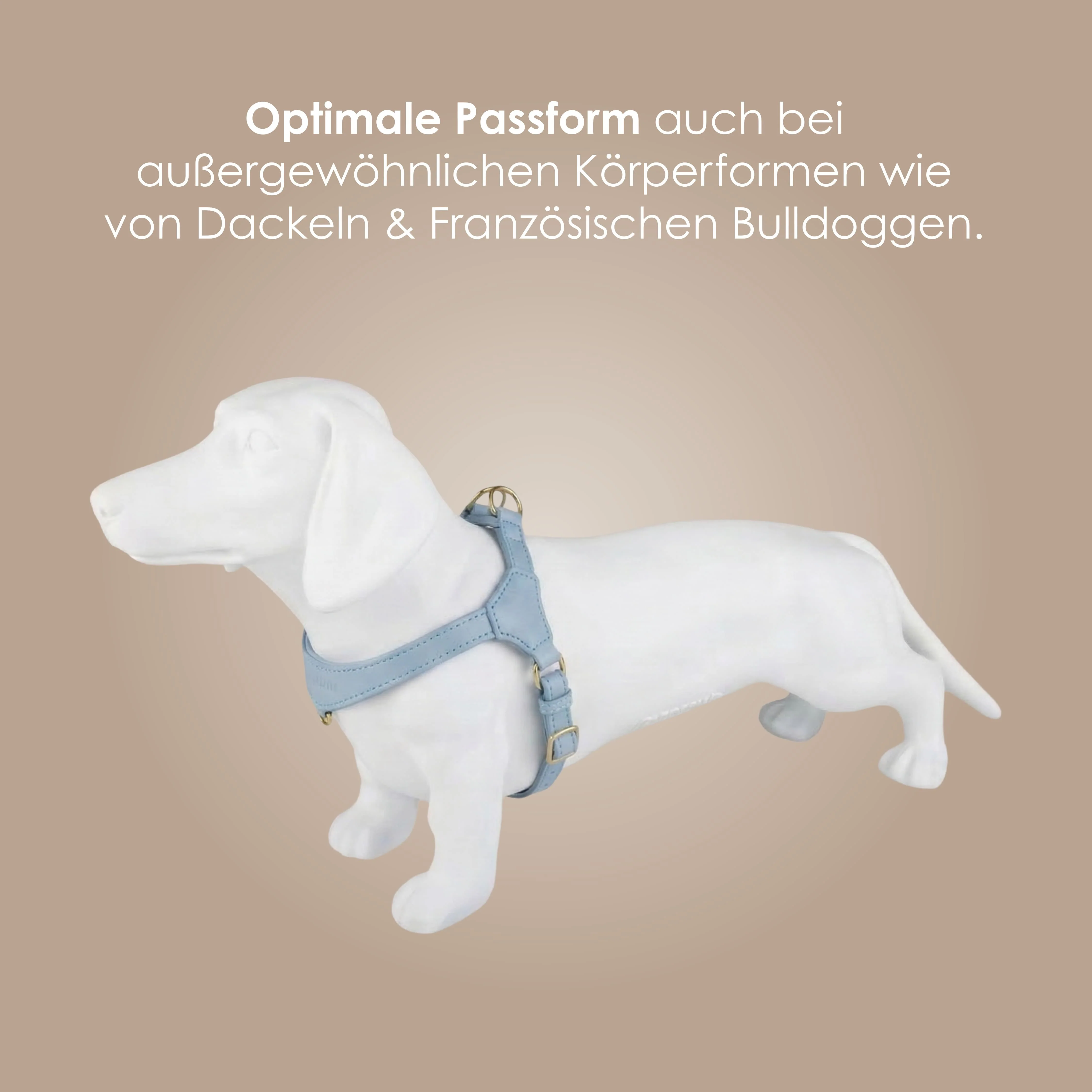 Step-In Leren Hondentuig Pico voor Kleine Honden - Image 43