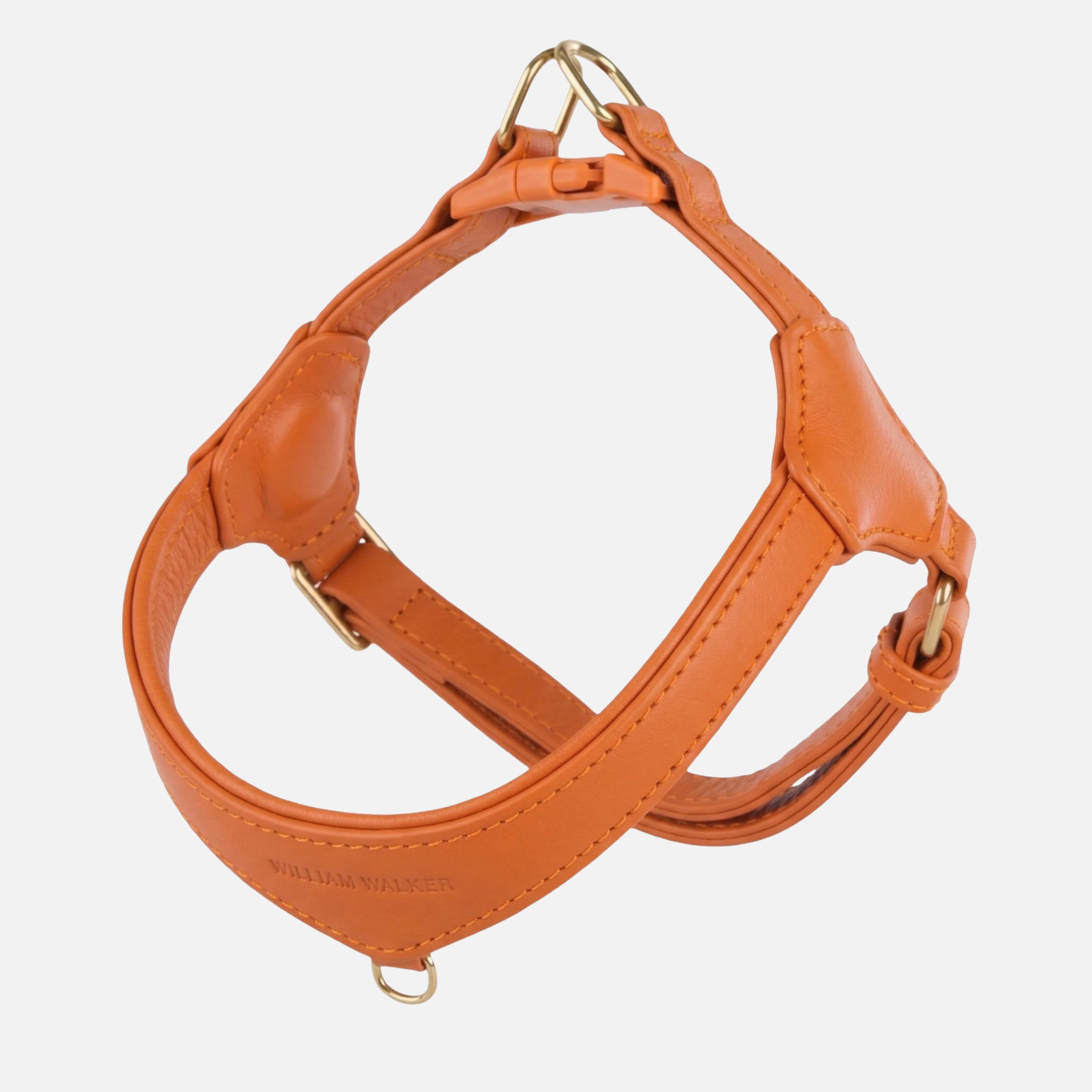 Step-In Leren Hondentuig Pico voor Kleine Honden - Image 45