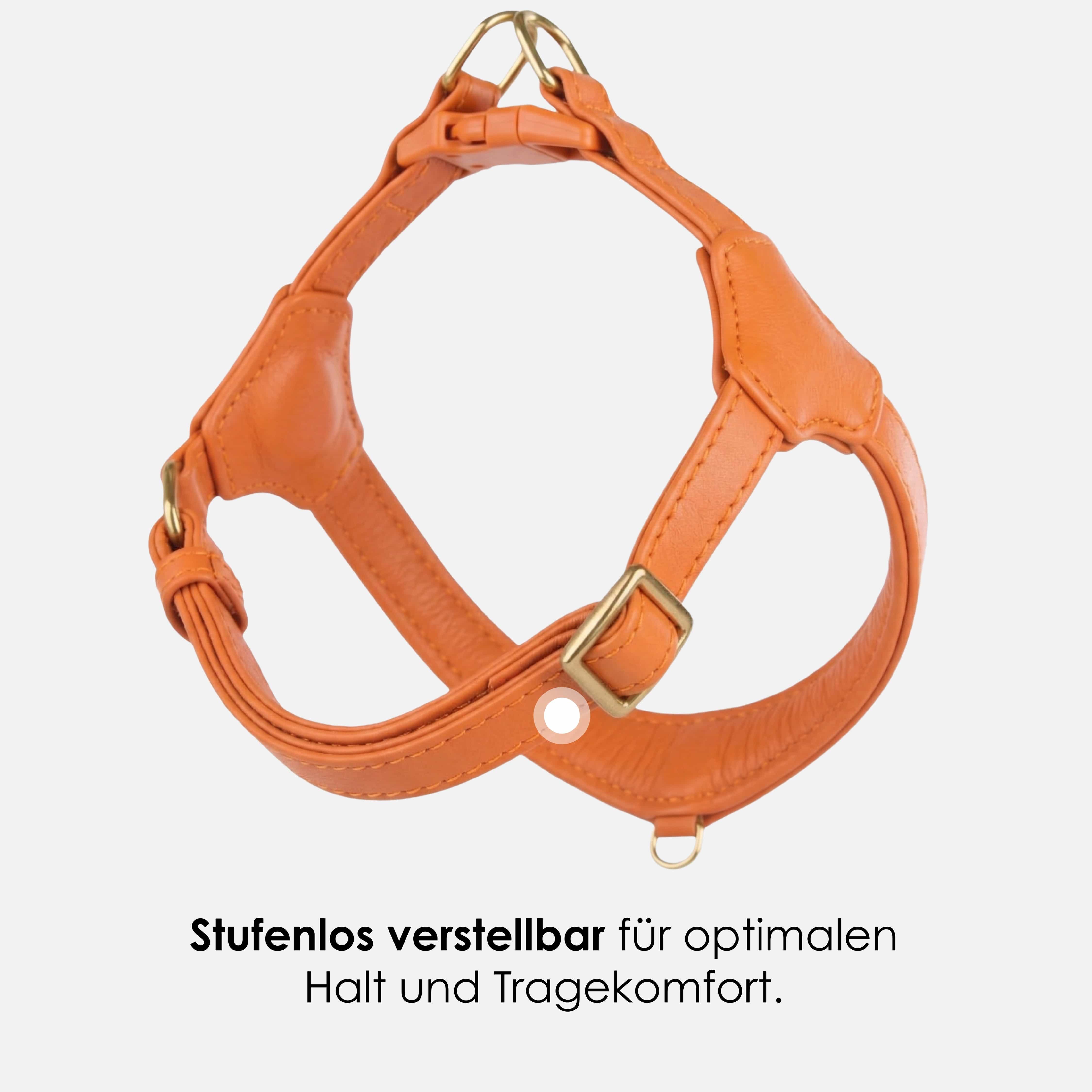 Step-In Leren Hondentuig Pico voor Kleine Honden - Image 46