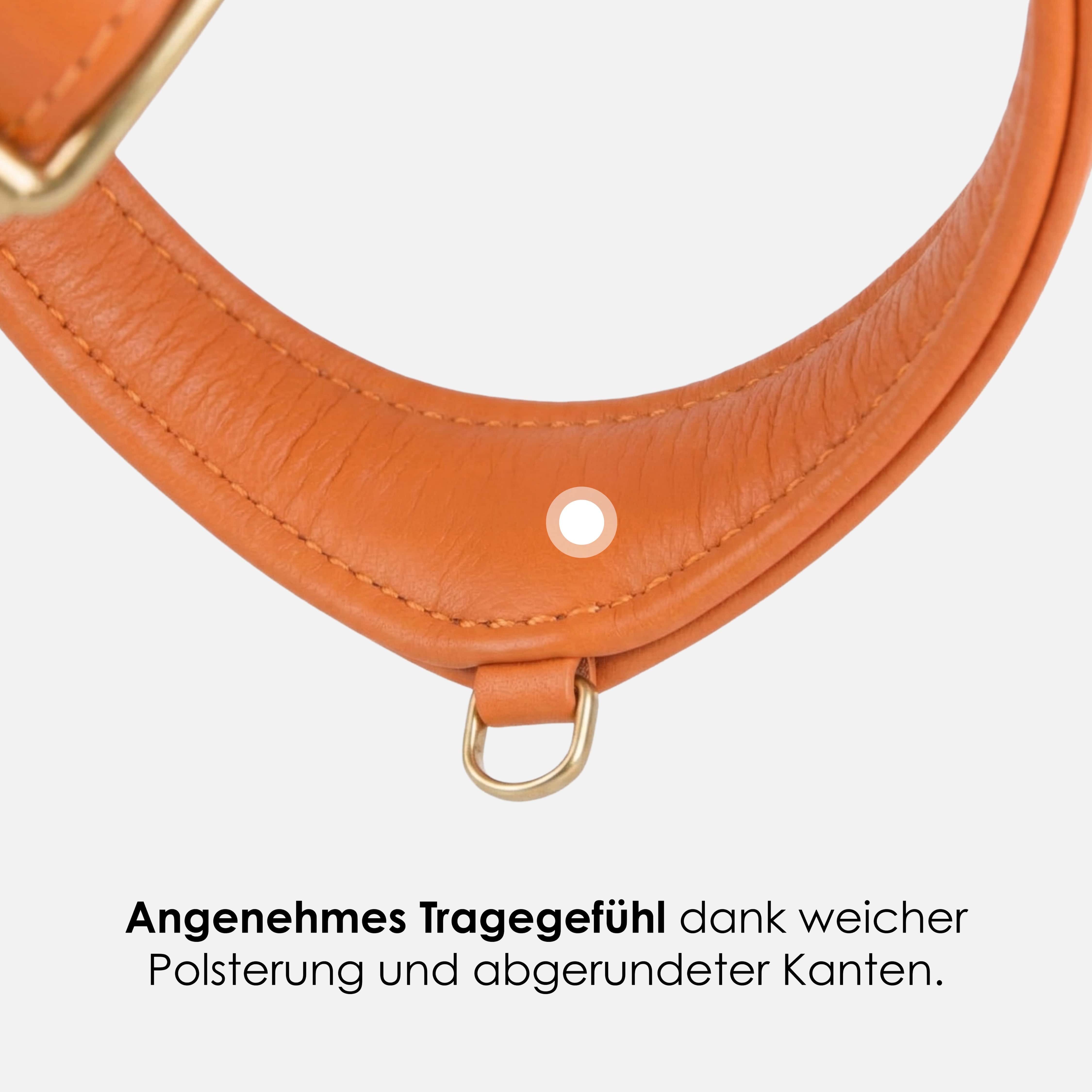 Step-In Leren Hondentuig Pico voor Kleine Honden - Image 47