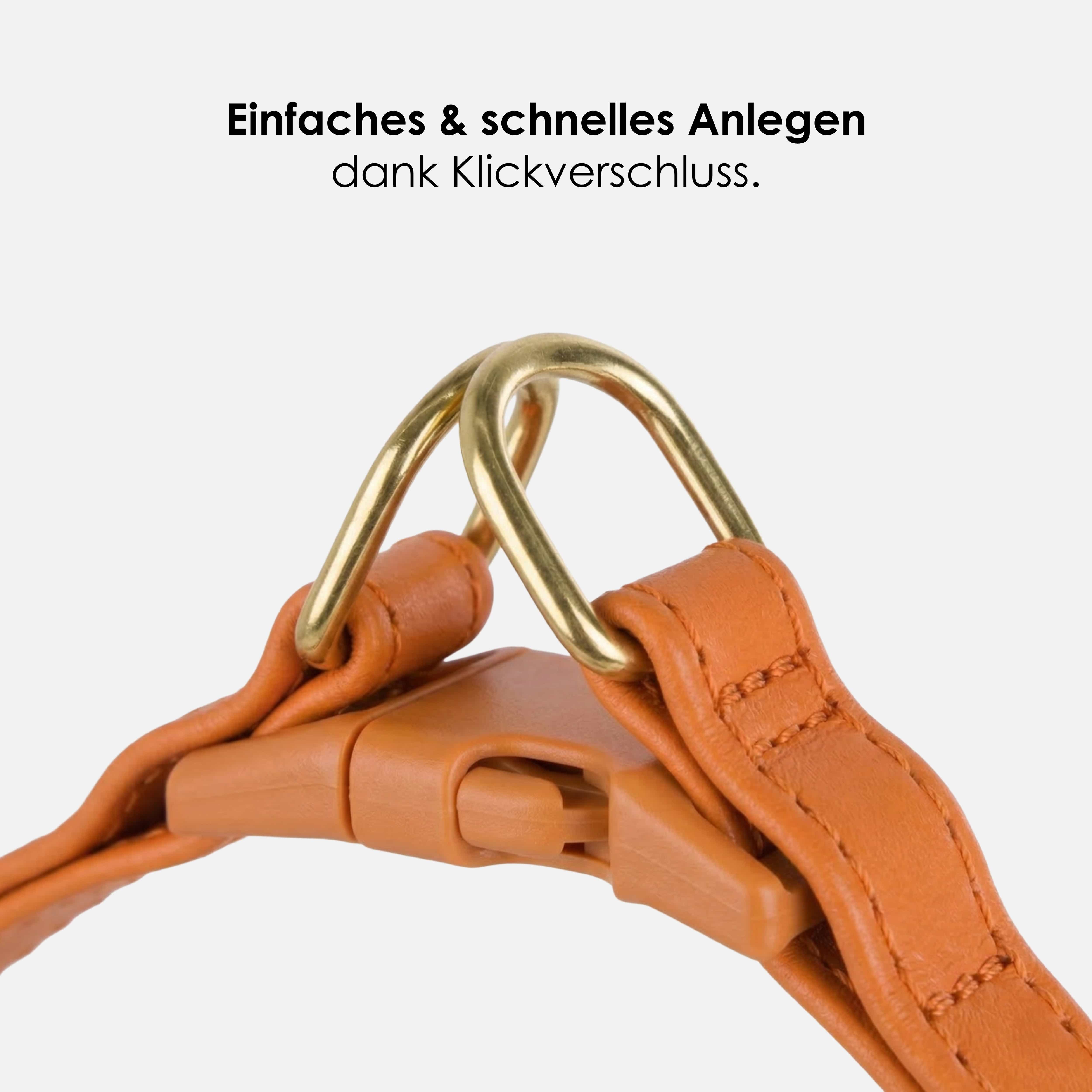 Step-In Leren Hondentuig Pico voor Kleine Honden - Image 50