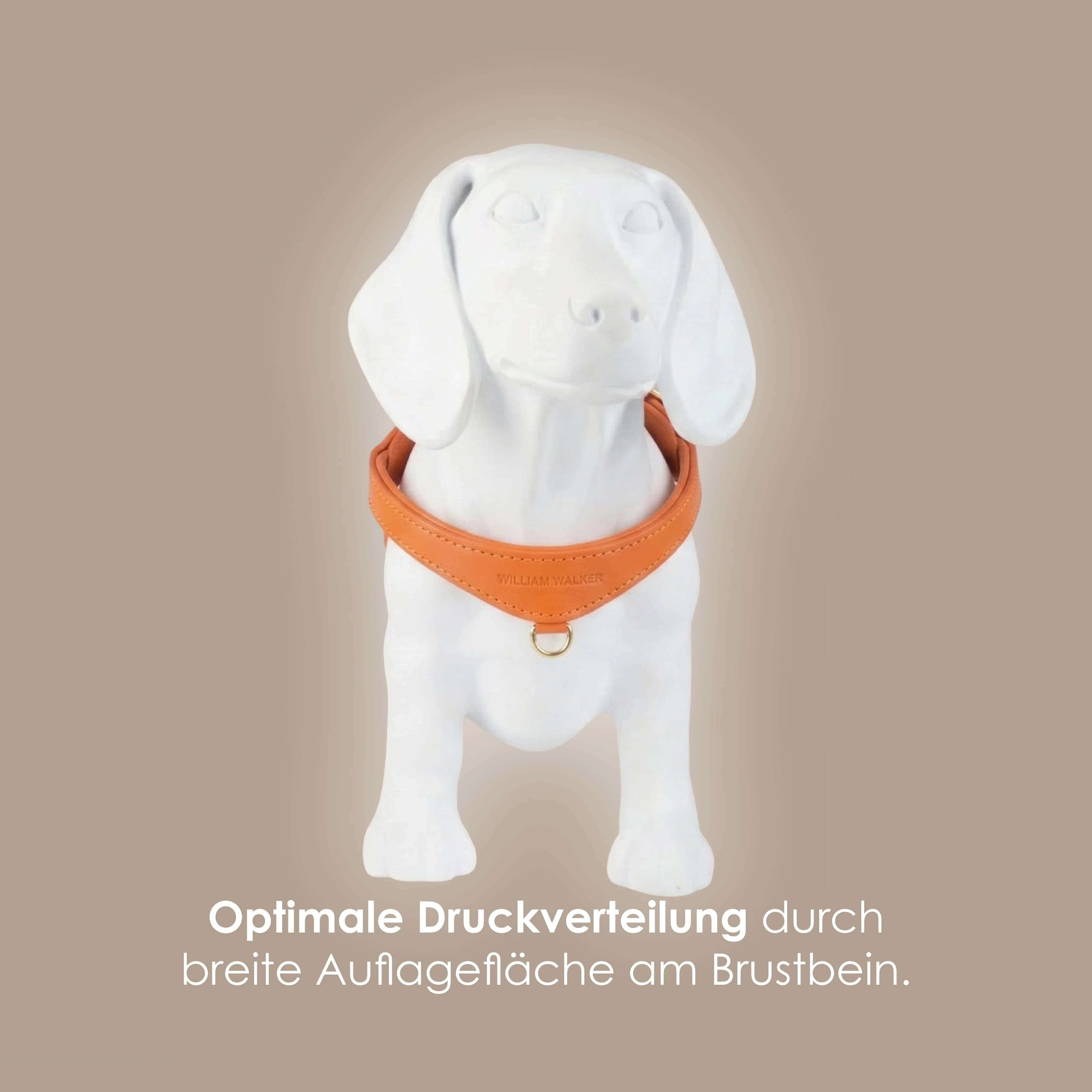 Step-In Leren Hondentuig Pico voor Kleine Honden - Image 51