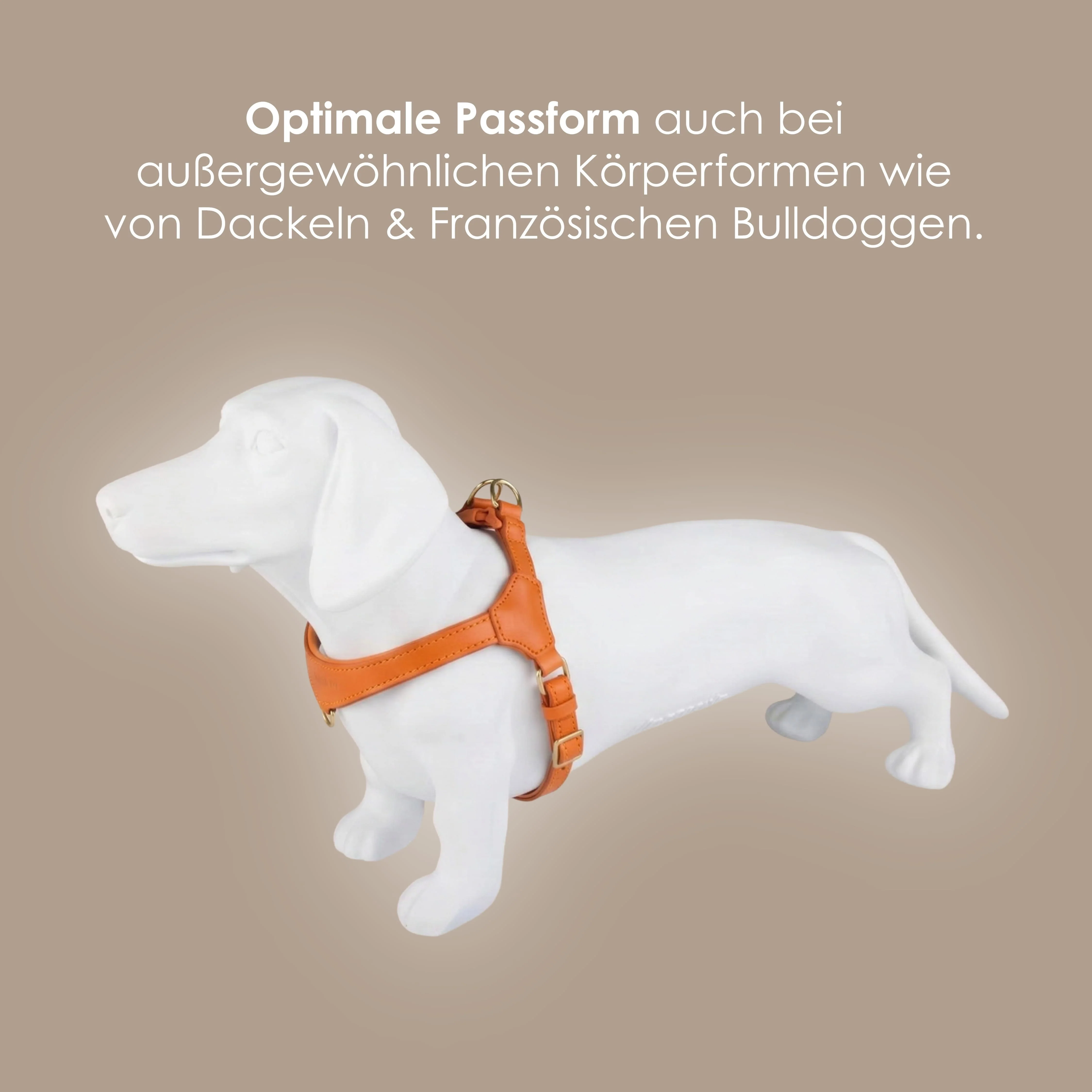 Step-In Leren Hondentuig Pico voor Kleine Honden - Image 53