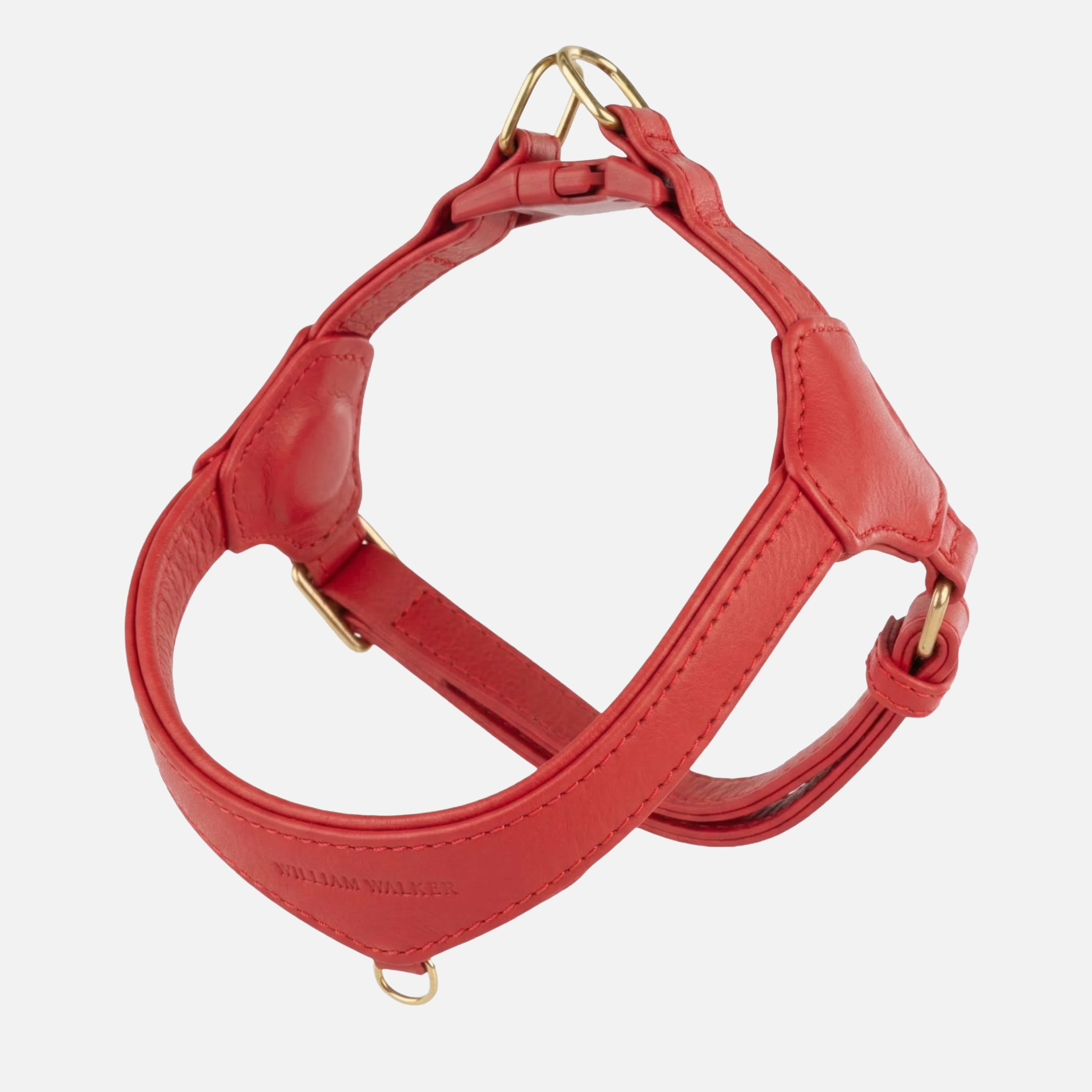 Step-In Leren Hondentuig Pico voor Kleine Honden - Image 55