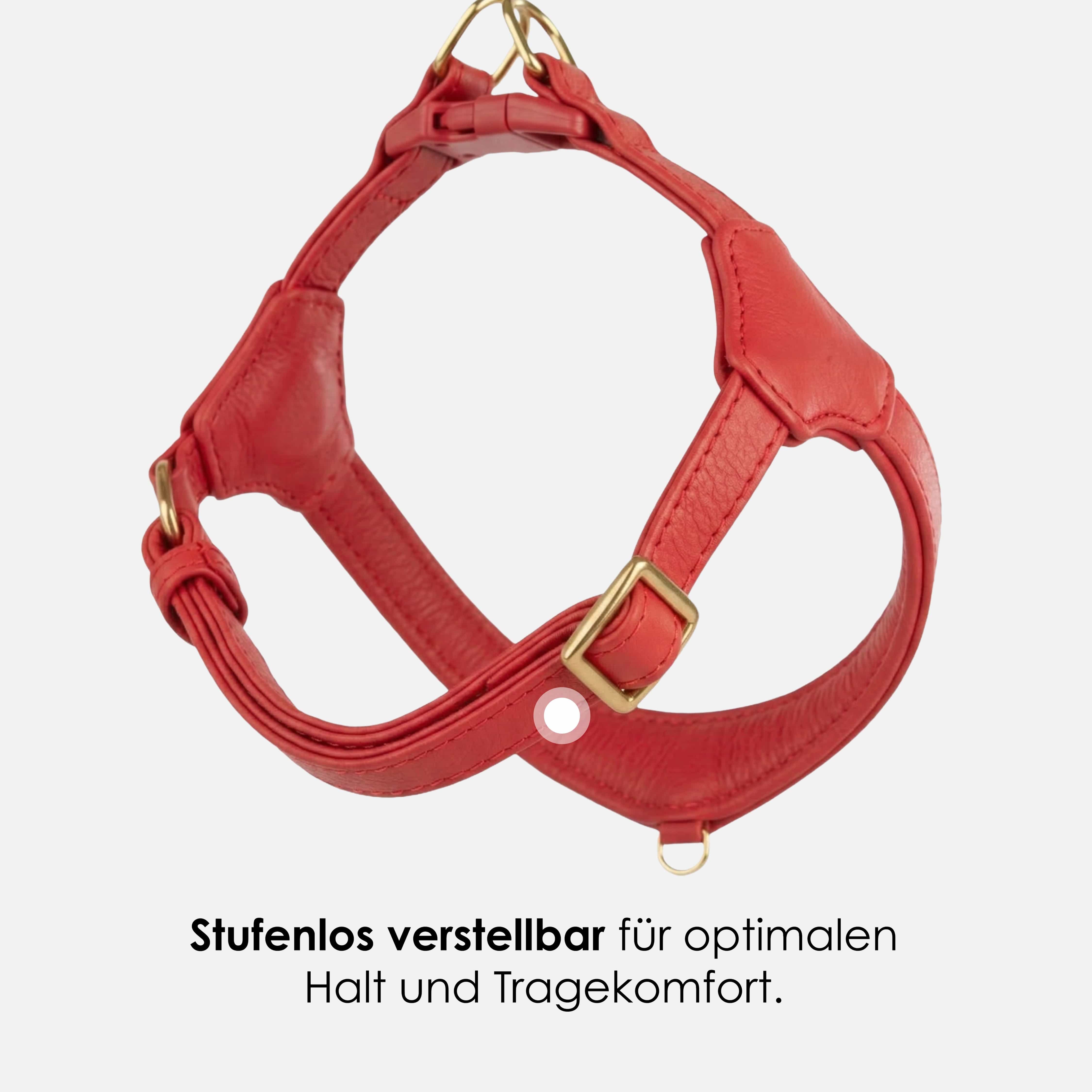 Step-In Leren Hondentuig Pico voor Kleine Honden - Image 56