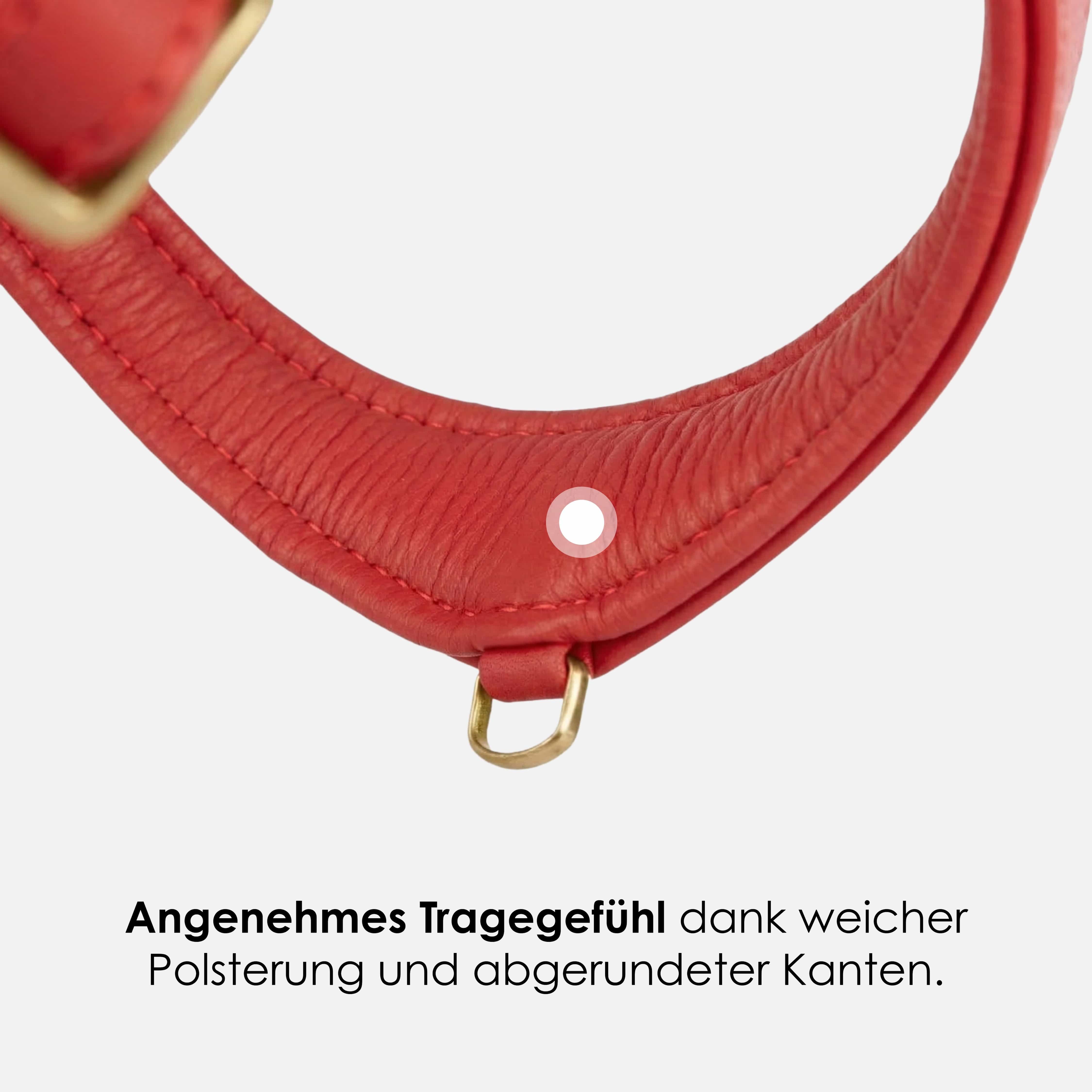 Step-In Leren Hondentuig Pico voor Kleine Honden - Image 57