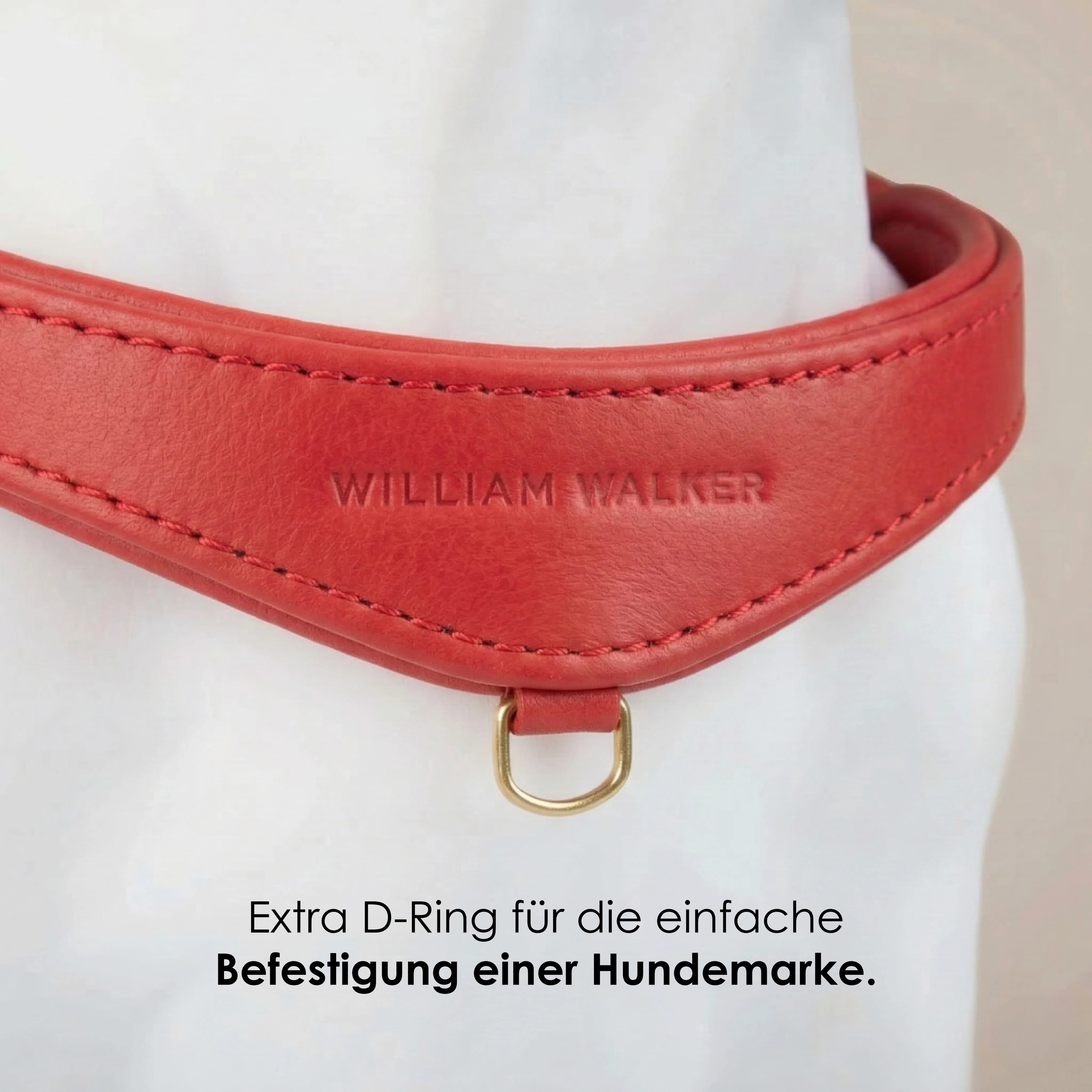Step-In Leren Hondentuig Pico voor Kleine Honden - Image 58