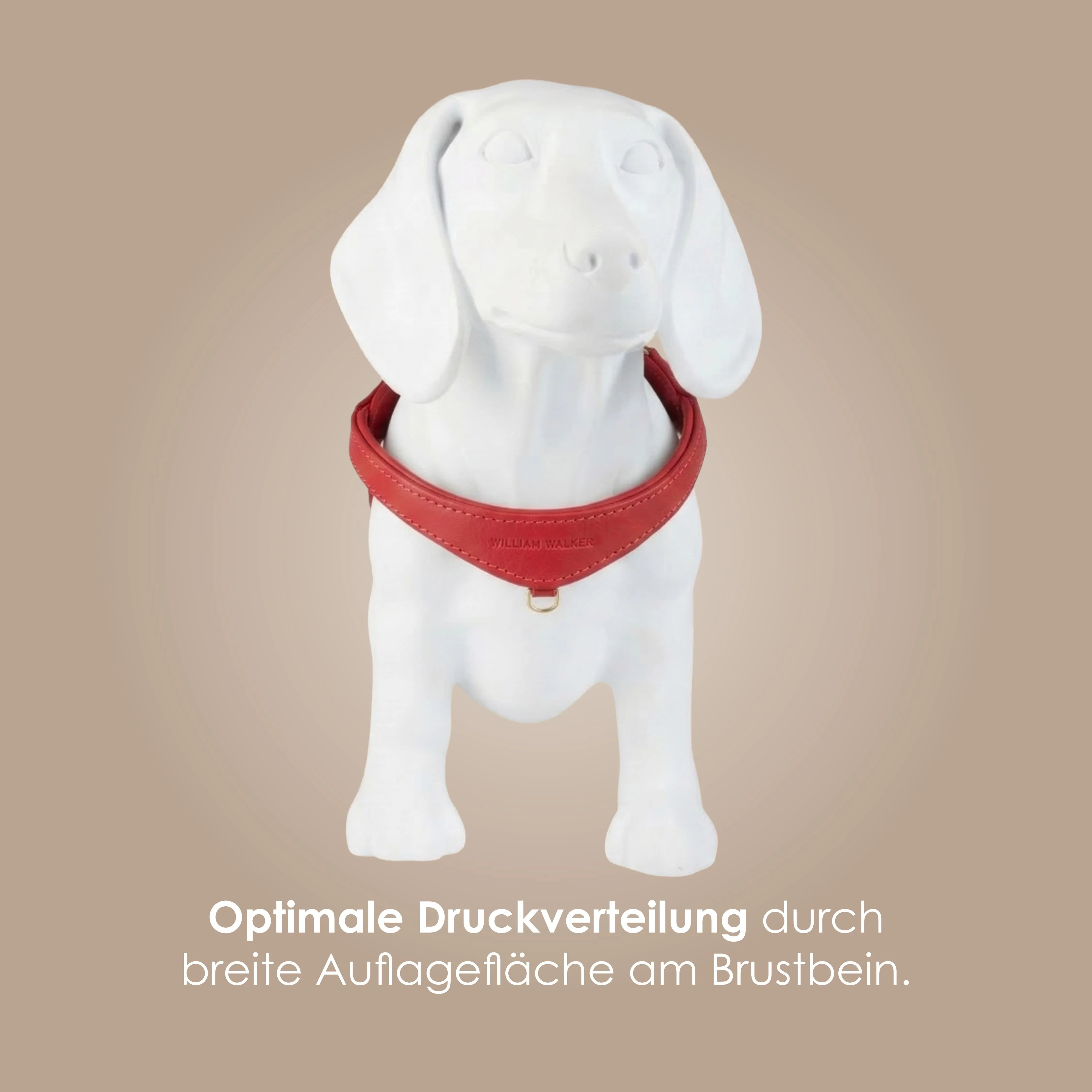 Step-In Leren Hondentuig Pico voor Kleine Honden - Image 61