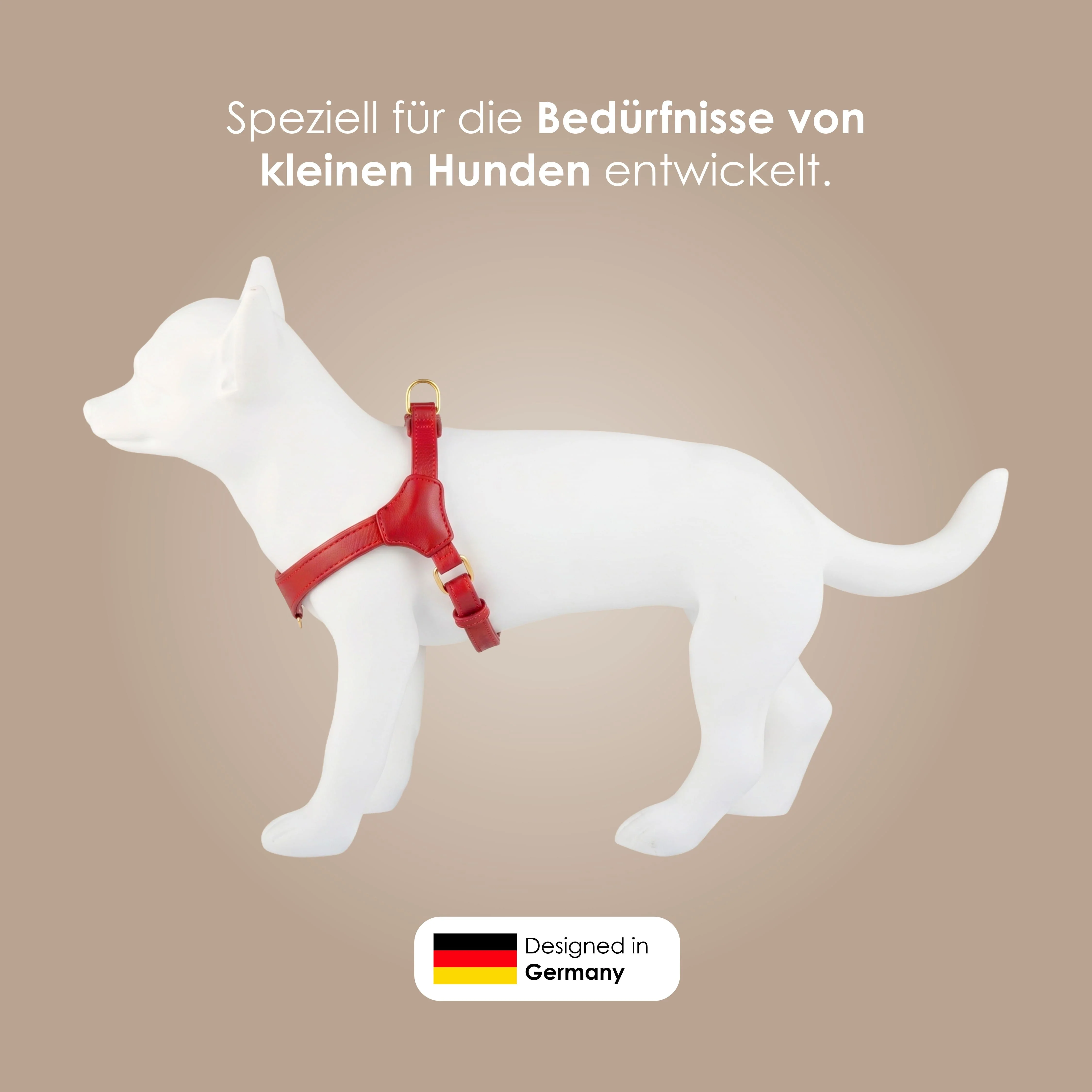Step-In Leren Hondentuig Pico voor Kleine Honden - Image 62