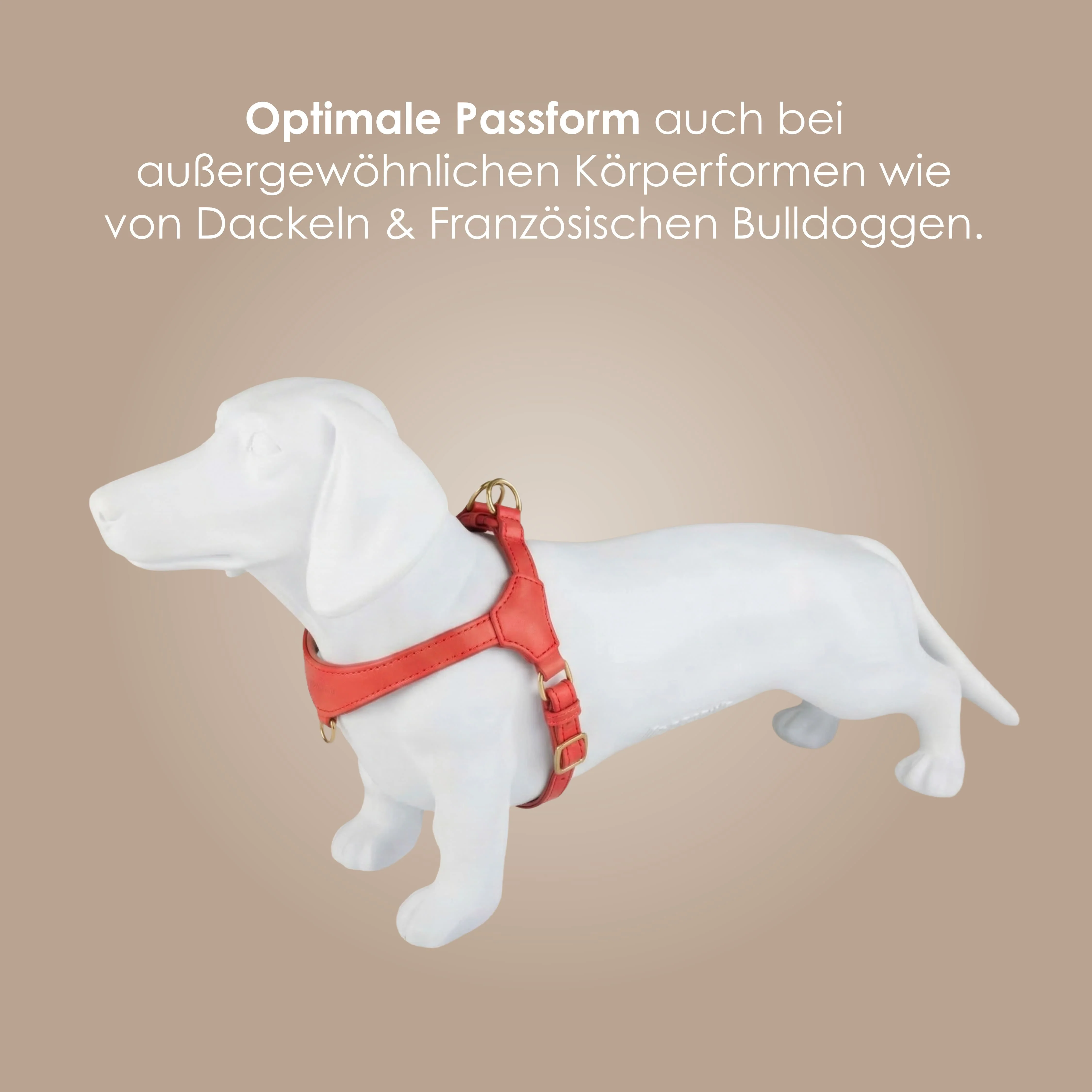 Step-In Leren Hondentuig Pico voor Kleine Honden - Image 63