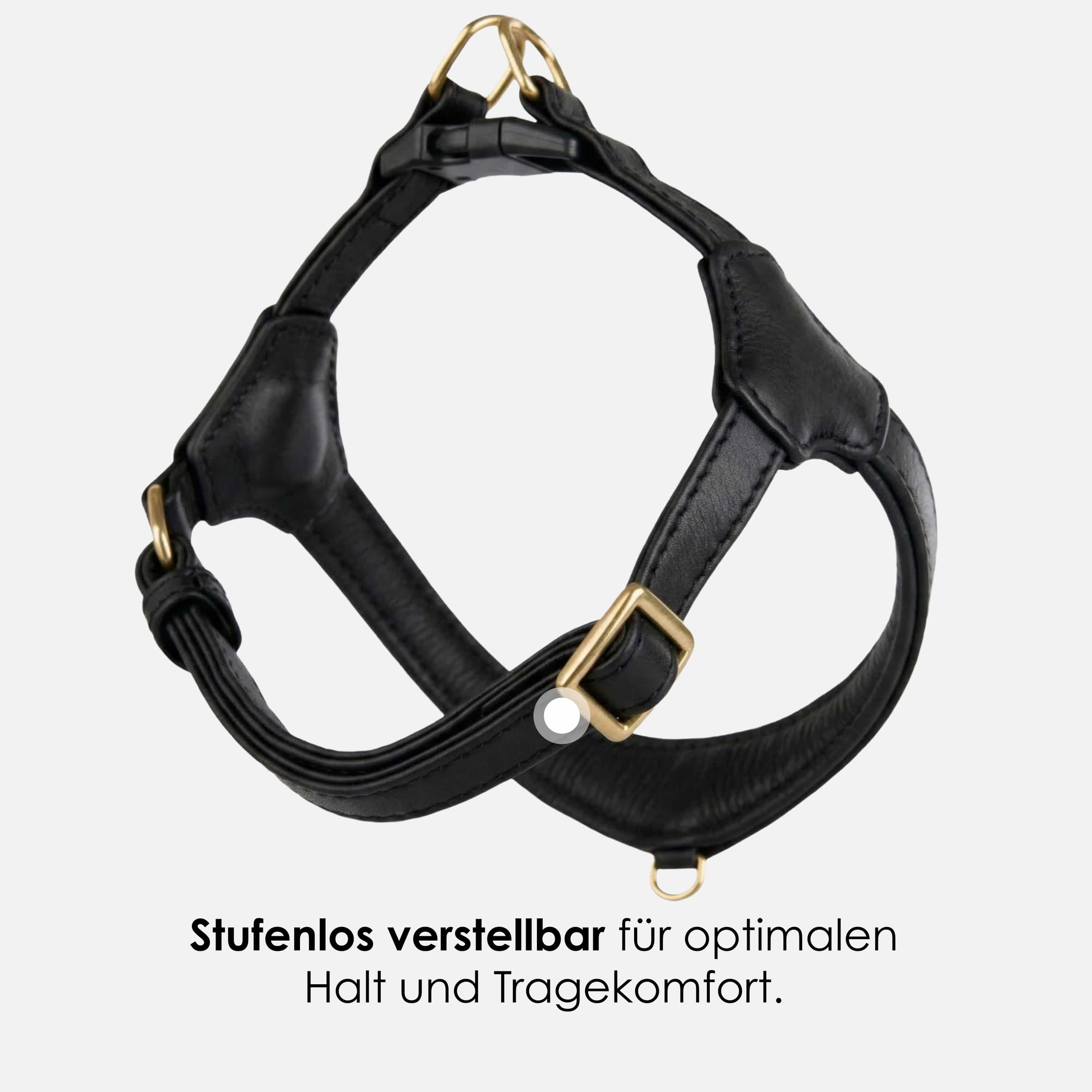 Step-In Leren Hondentuig Pico voor Kleine Honden - Image 66