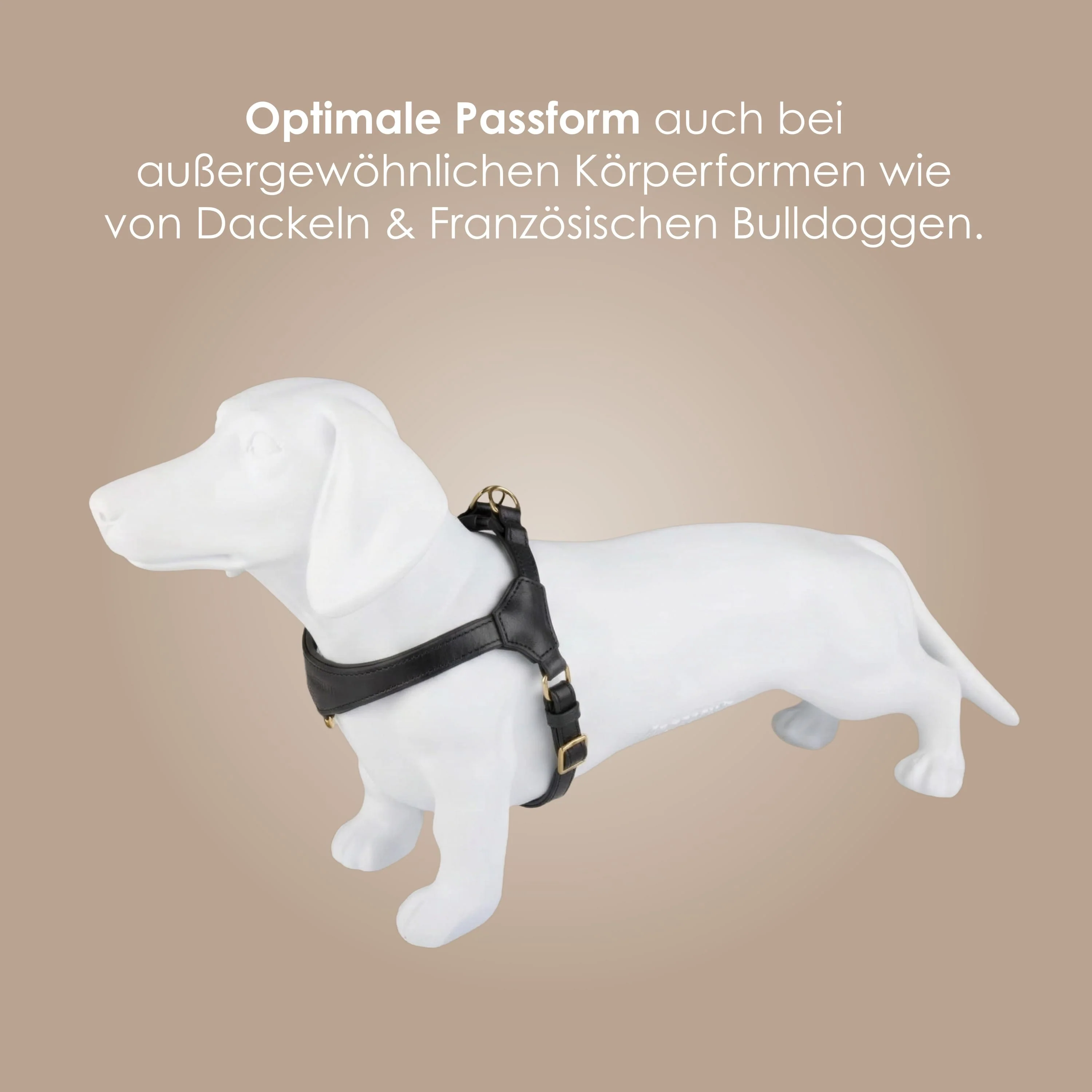 Step-In Leren Hondentuig Pico voor Kleine Honden - Image 72