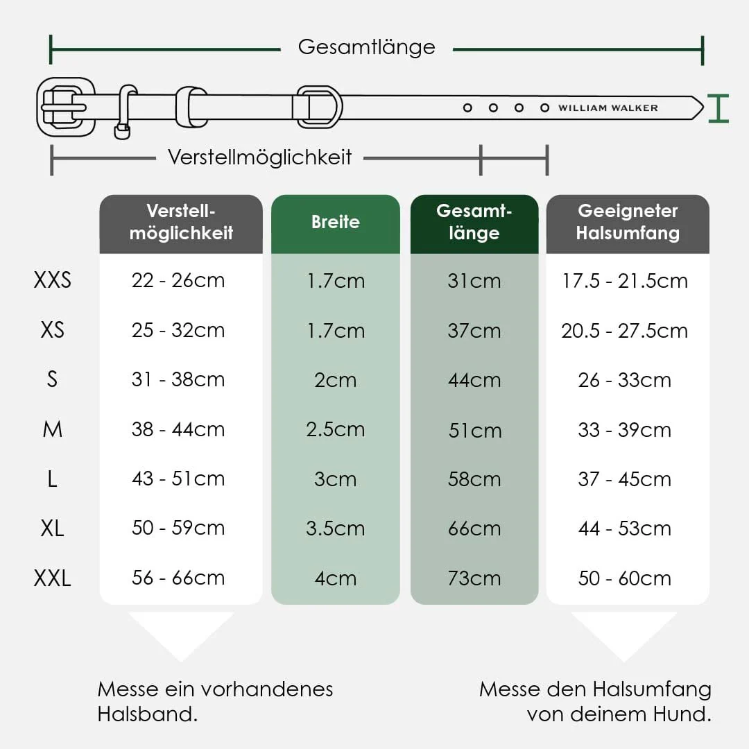 Premium Walking Set van leer - Image 15