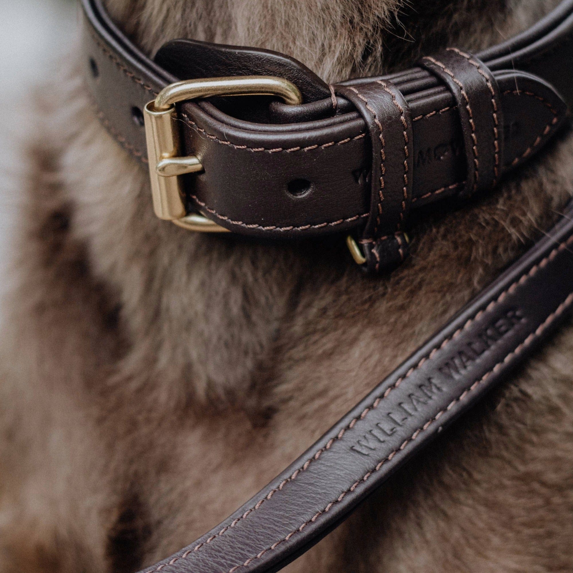 Leren halsband Earth (Bruin) - Image 15