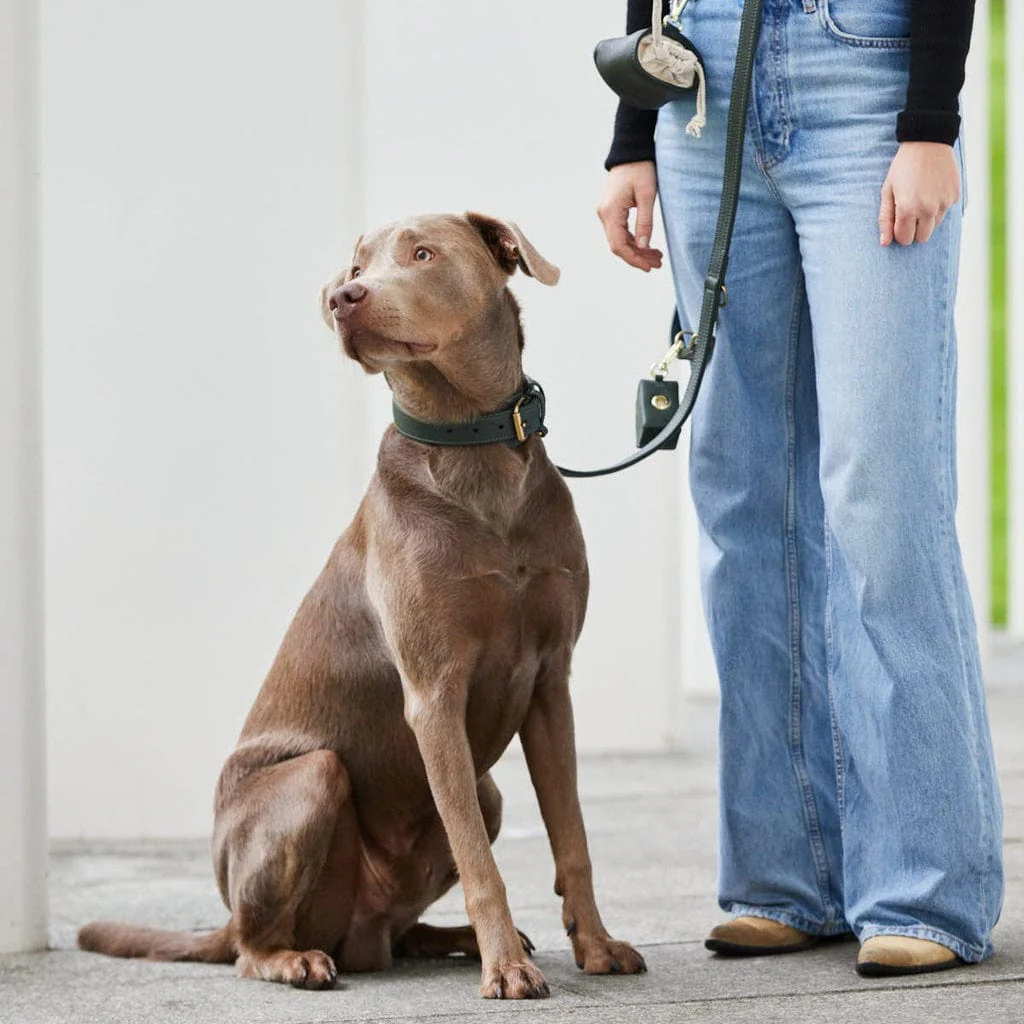 Premium Walking Set uit leer - Configurator Plain Collectie - Image 19