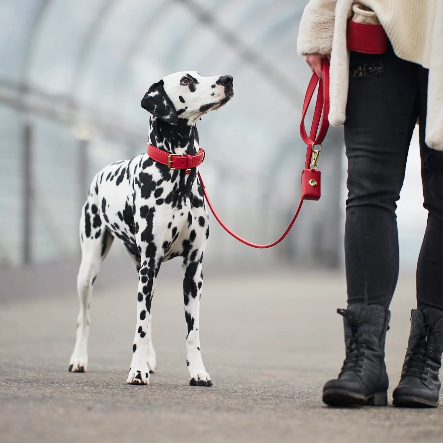 Premium Walking Set uit leer - Configurator Plain Collectie - Image 12