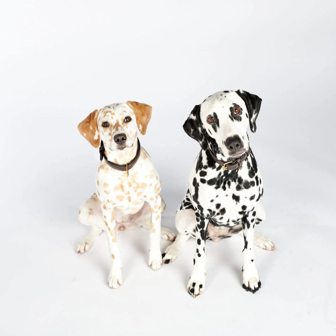 Premium Walking Set uit leer - Configurator Plain Collectie - Image 20