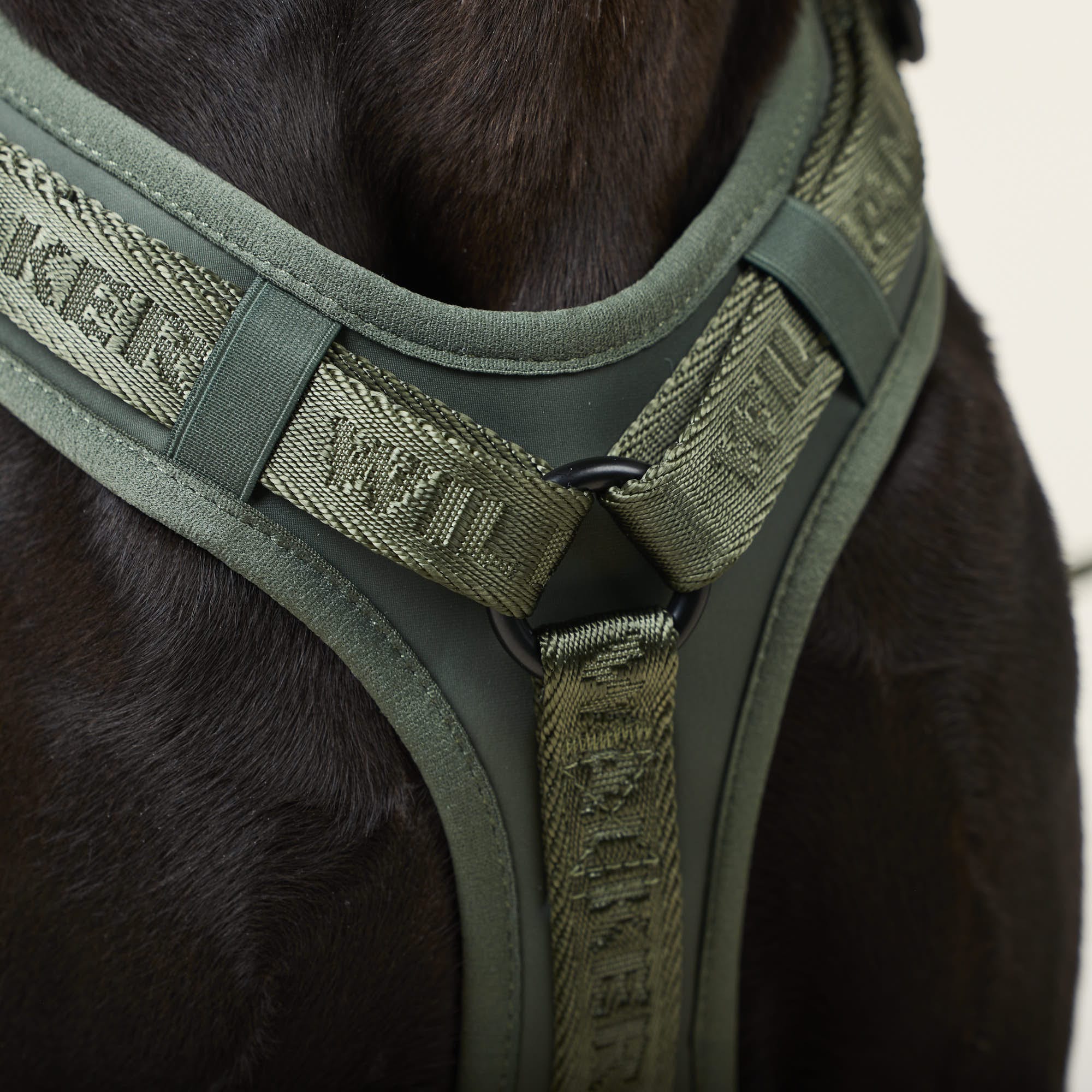 Hondentuig Bundle Configurator Apex Collectie - Image 21