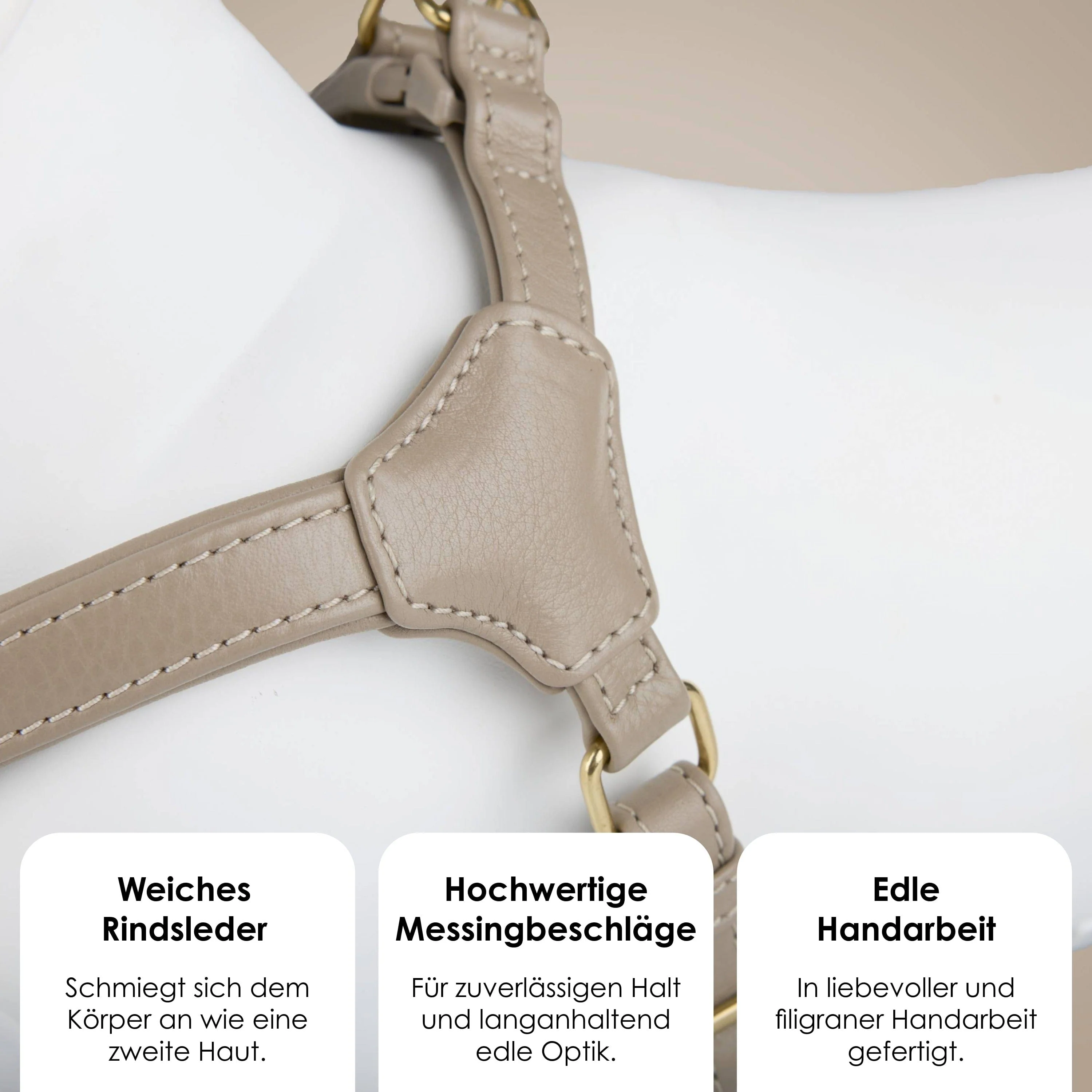 Step-In Leren Hondentuig Pico voor Kleine Honden - Image 6