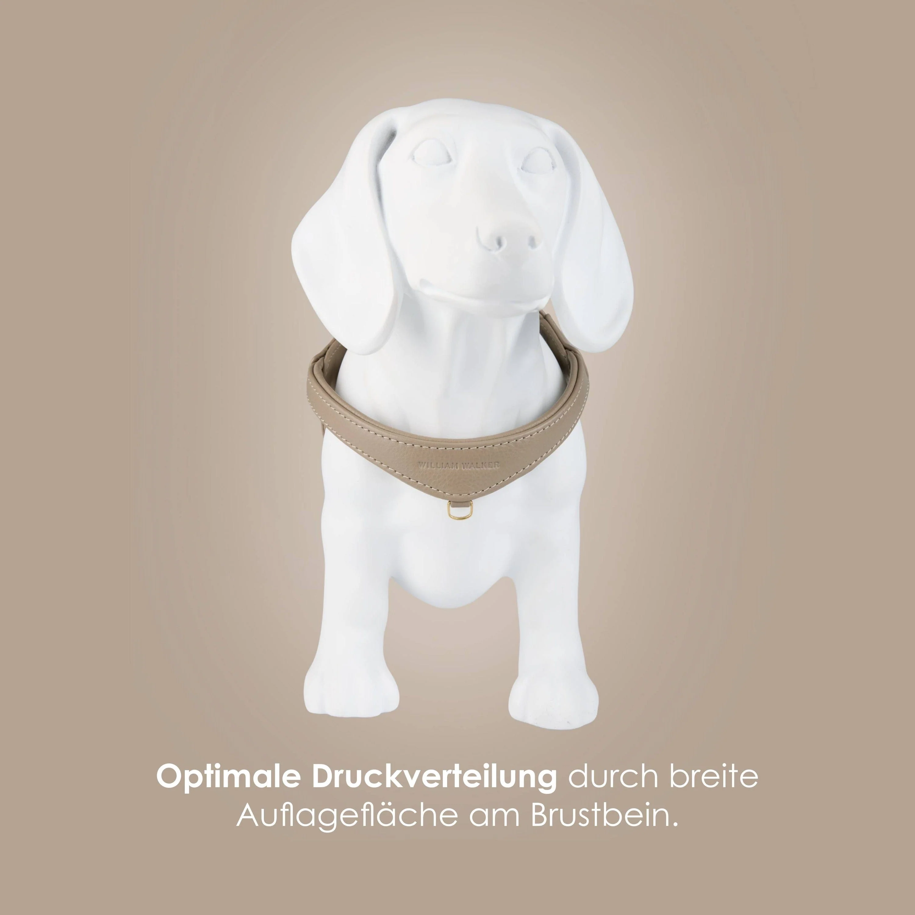 Step-In Leren Hondentuig Pico voor Kleine Honden - Image 7