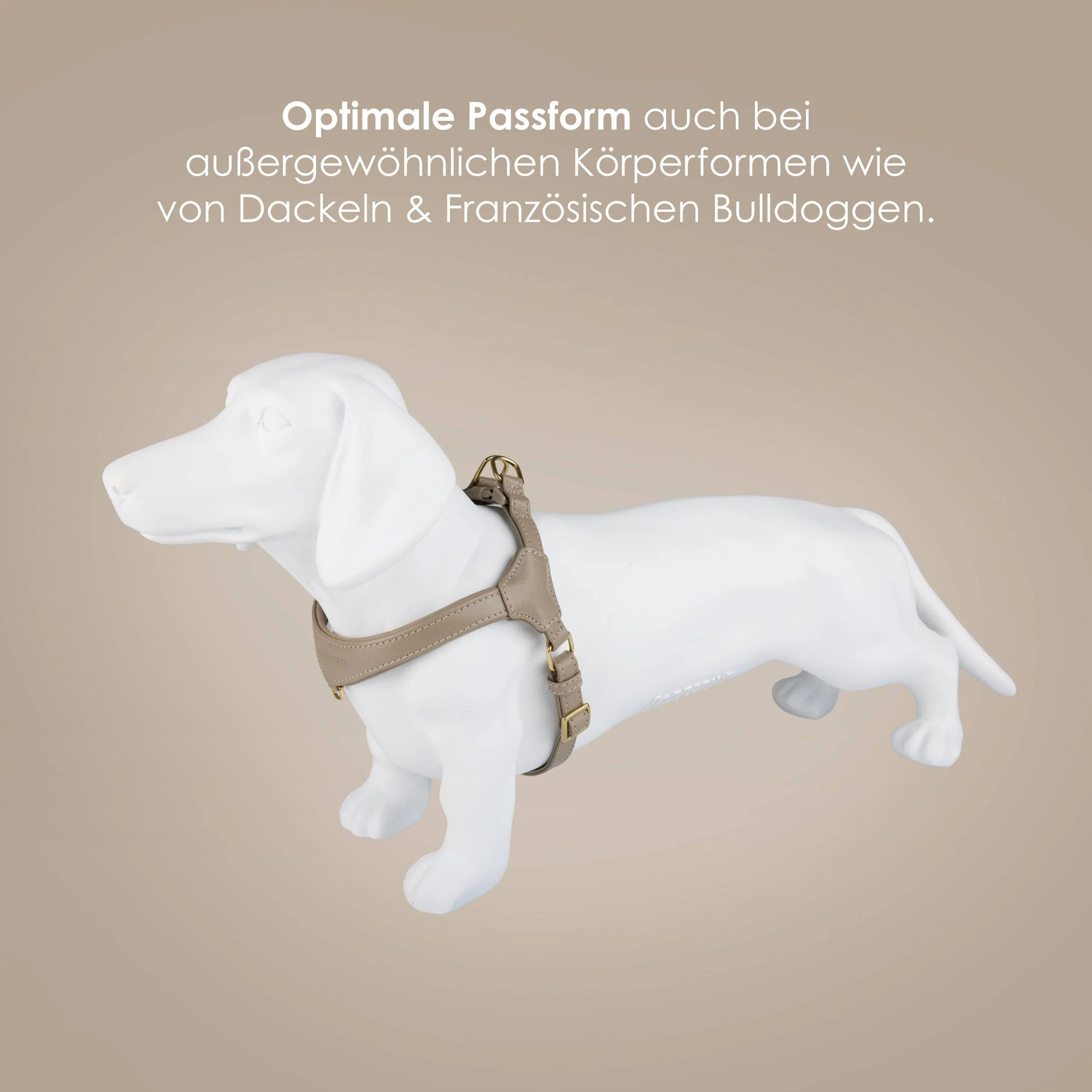 Step-In Leren Hondentuig Pico voor Kleine Honden - Image 9