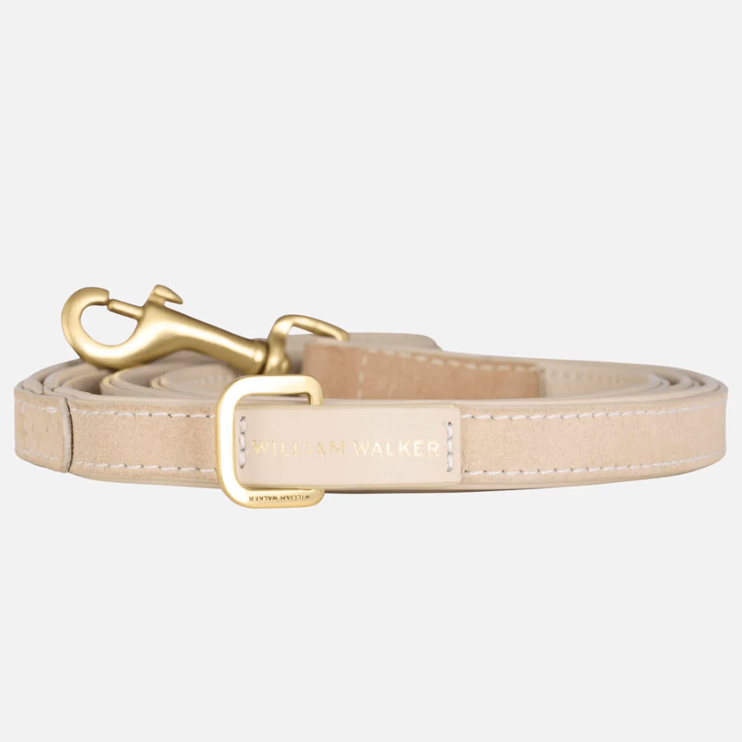Hoogwaardige suède hondenriem Almond (beige)