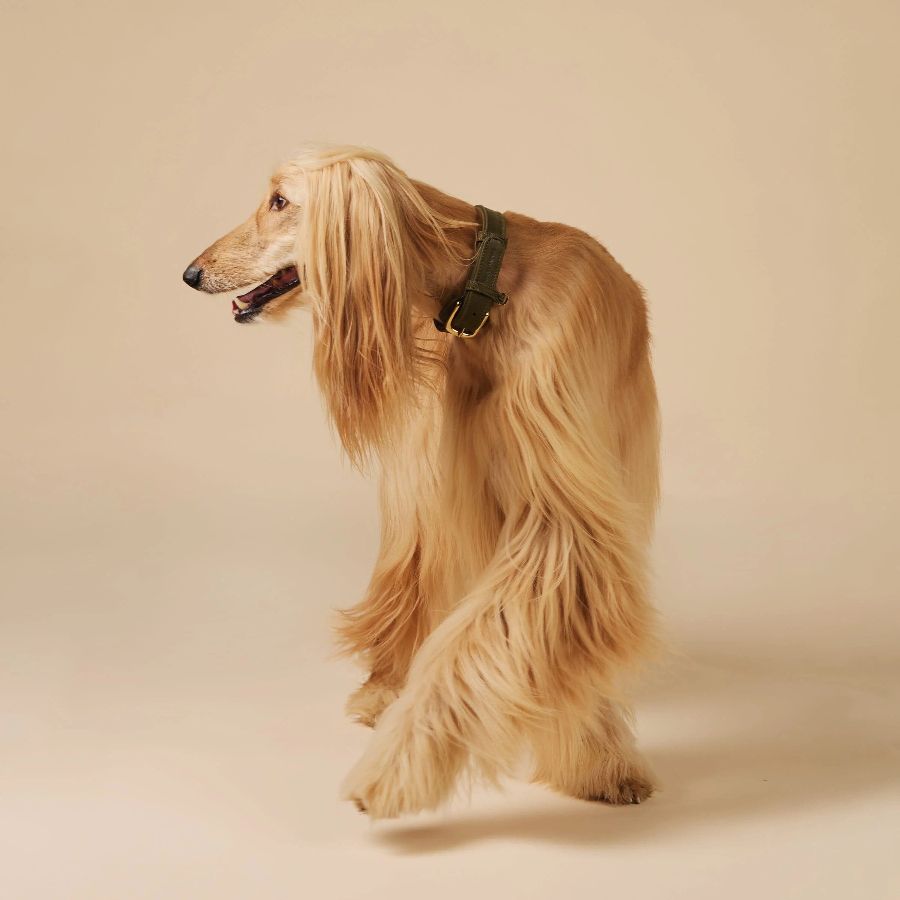 Halsband uit waterafstotend nubuckleer - Image 13