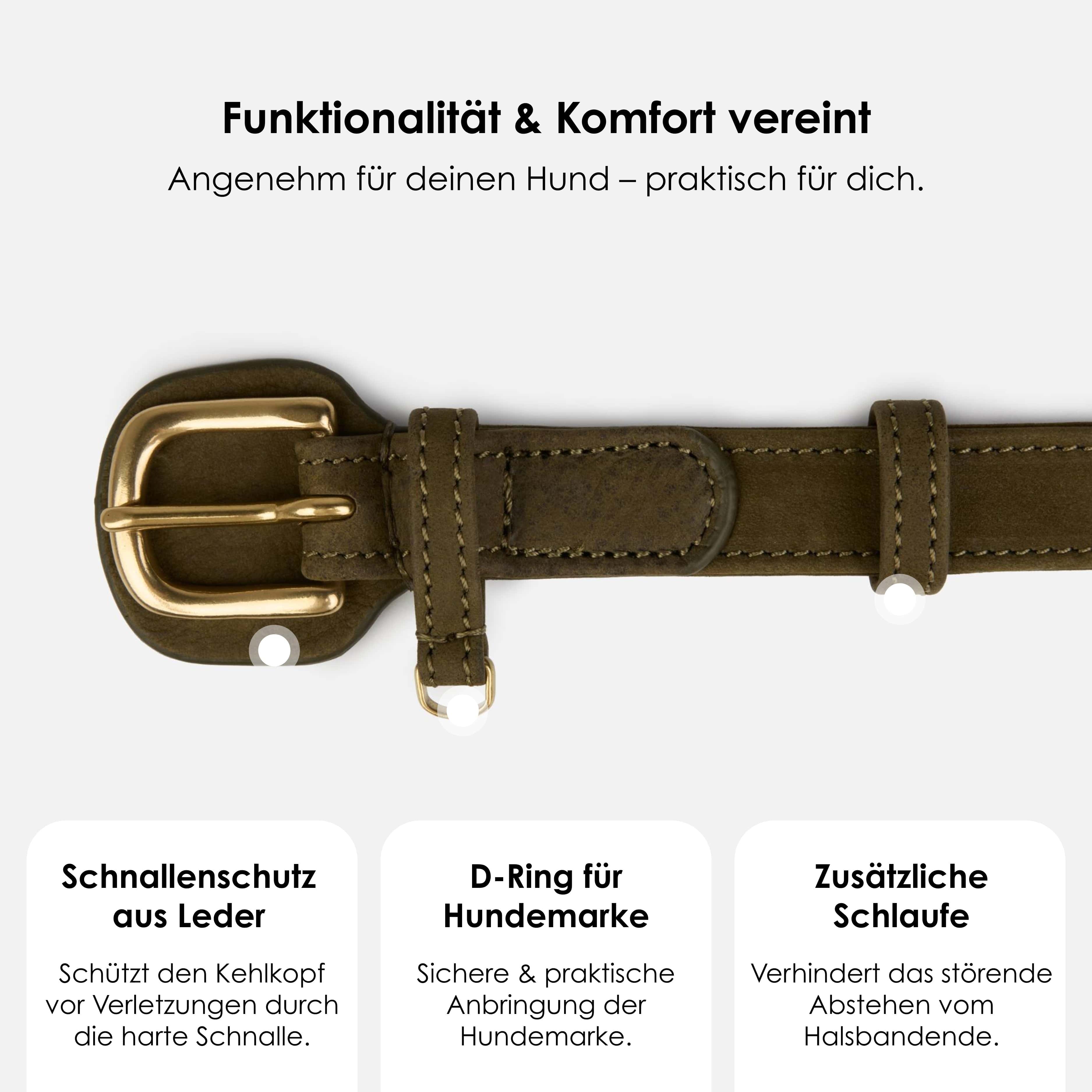 Halsband uit waterafstotend nubuckleer - Image 6