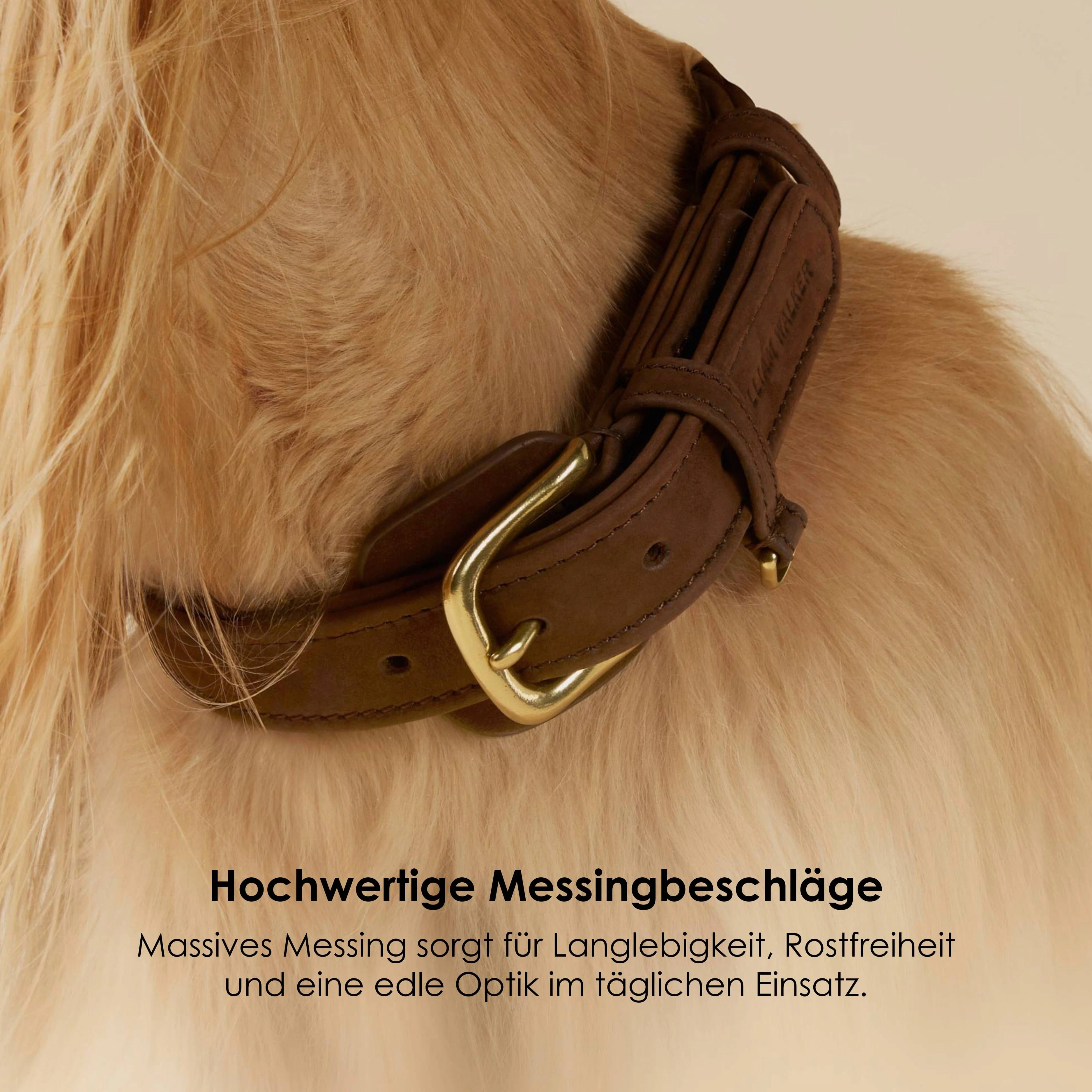 Halsband uit waterafstotend nubuckleer - Image 9