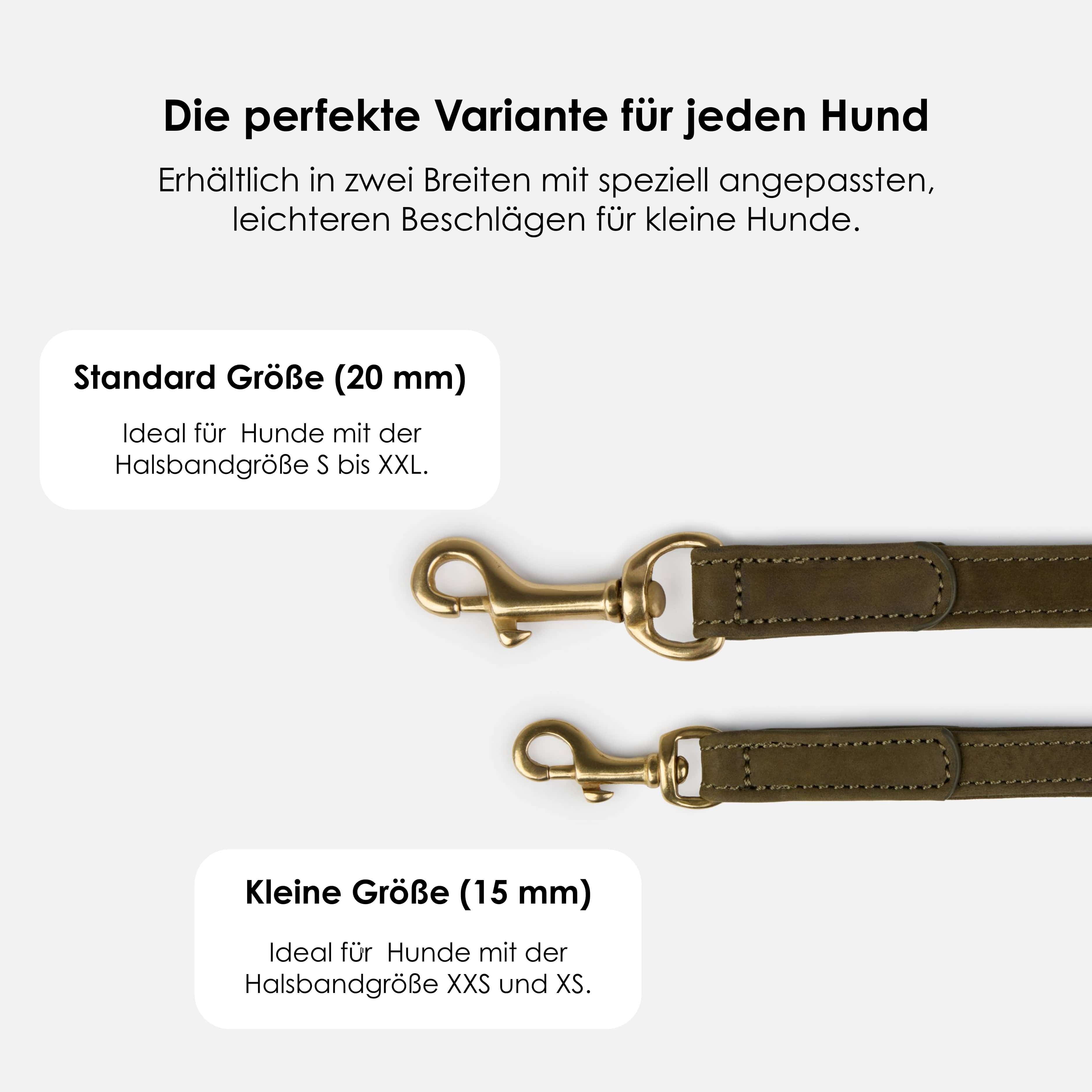 Hondenriem van waterafstotend nubuckleer stufenloos verstelbaar Handsfree - Image 11