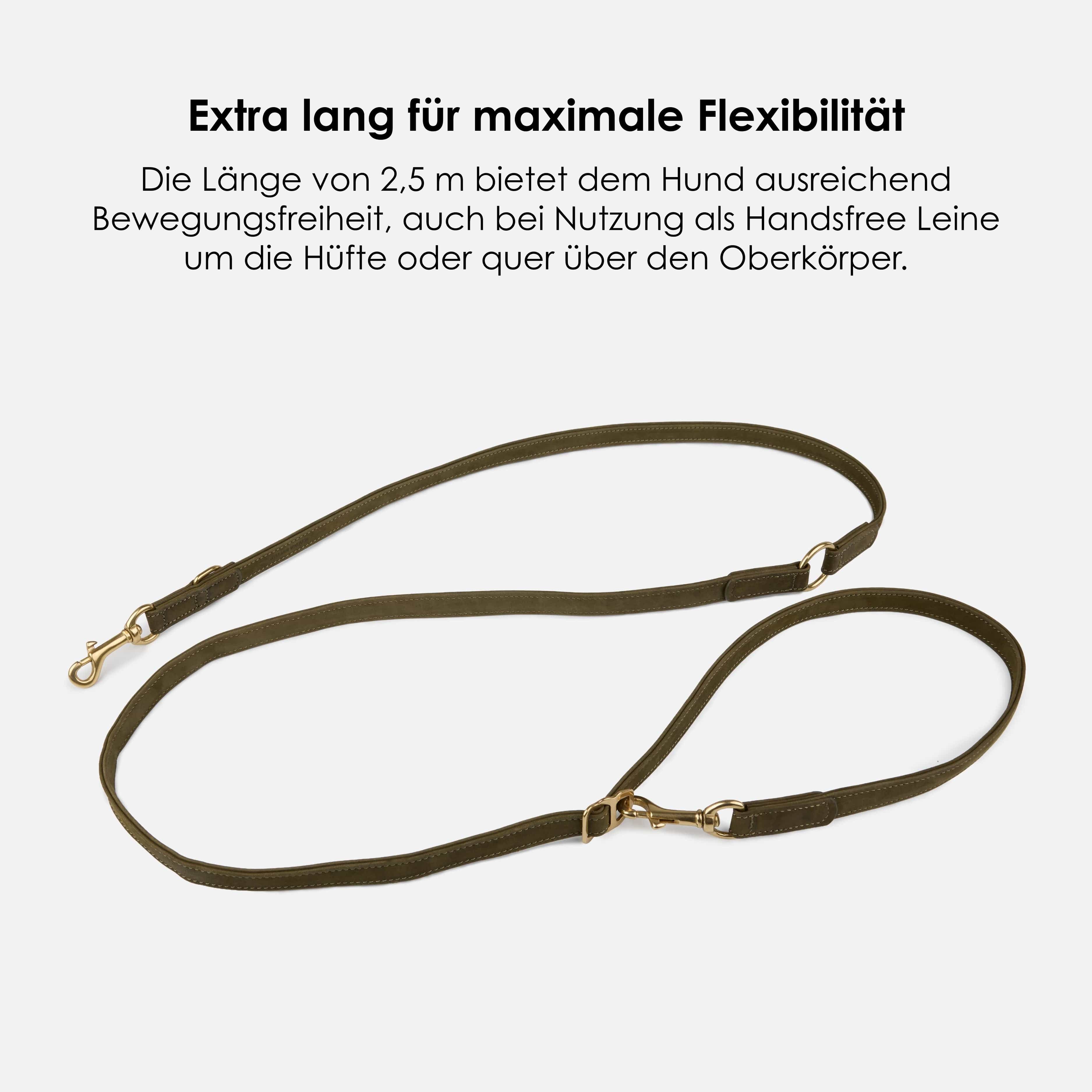 Hondenriem van waterafstotend nubuckleer stufenloos verstelbaar Handsfree - Image 12