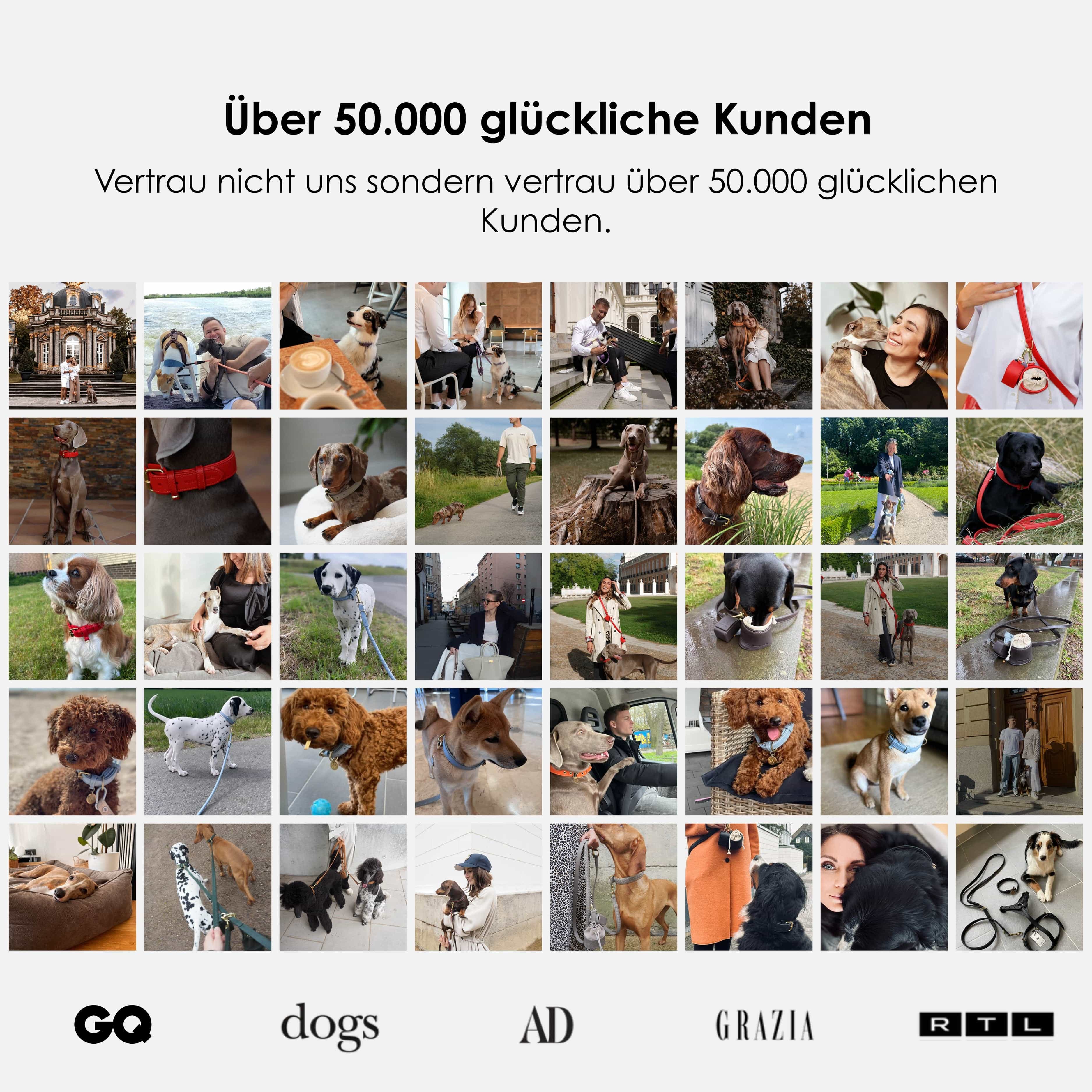 Hondenriem van waterafstotend nubuckleer stufenloos verstelbaar Handsfree - Image 17